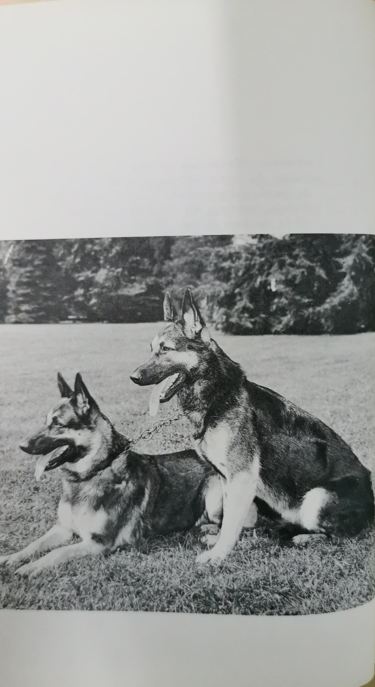 the natural history of dogs Hardcover – January 1, 1968  by Richard & Alice Fiennes Fiennes (Author), Well-illustrated (Illustrator)