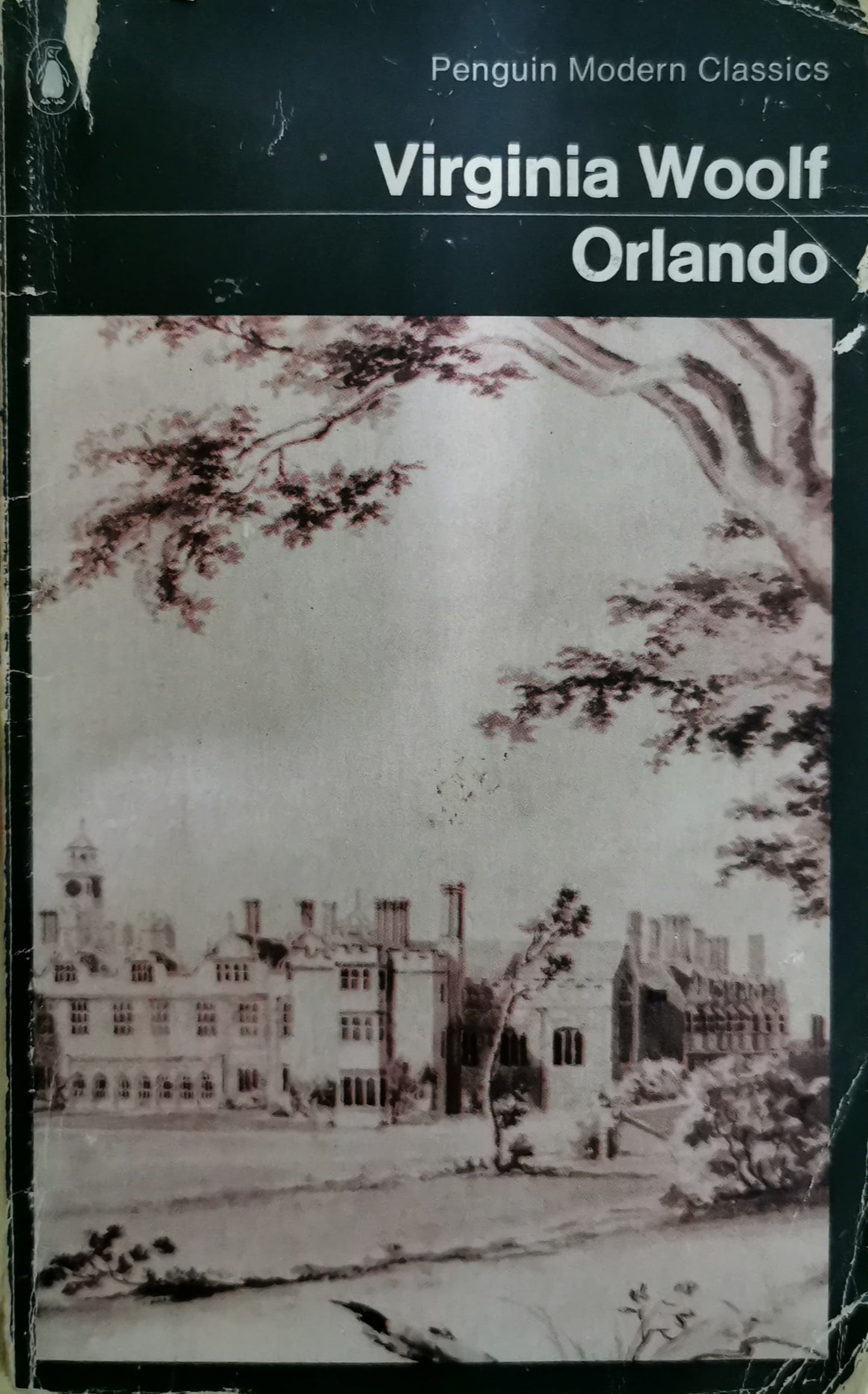 Orlando: A Biography Novel by Virginia Woolf