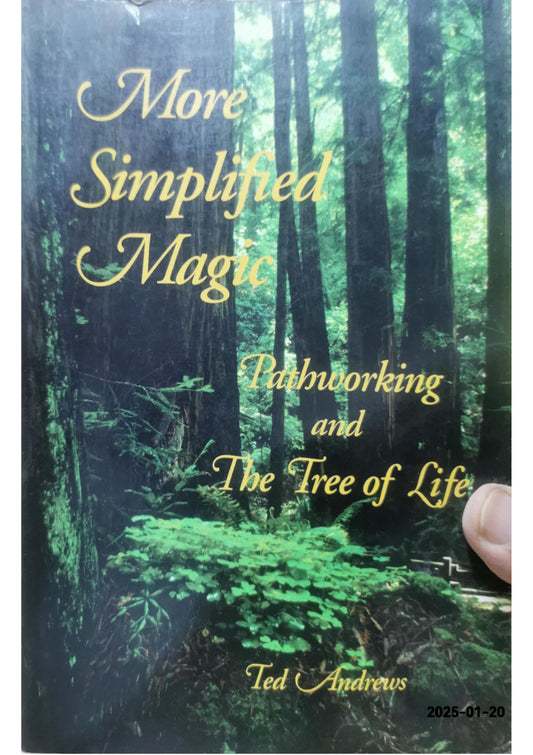 More Simplified Magic: Pathworking and the Tree of Life (Pathworking on the Tree of Life Series) - Softcover Andrews, Ted