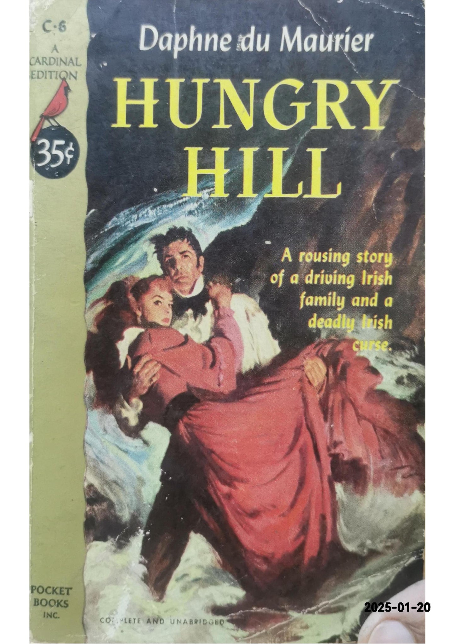 Hungry Hill Novel by Daphne du Maurier