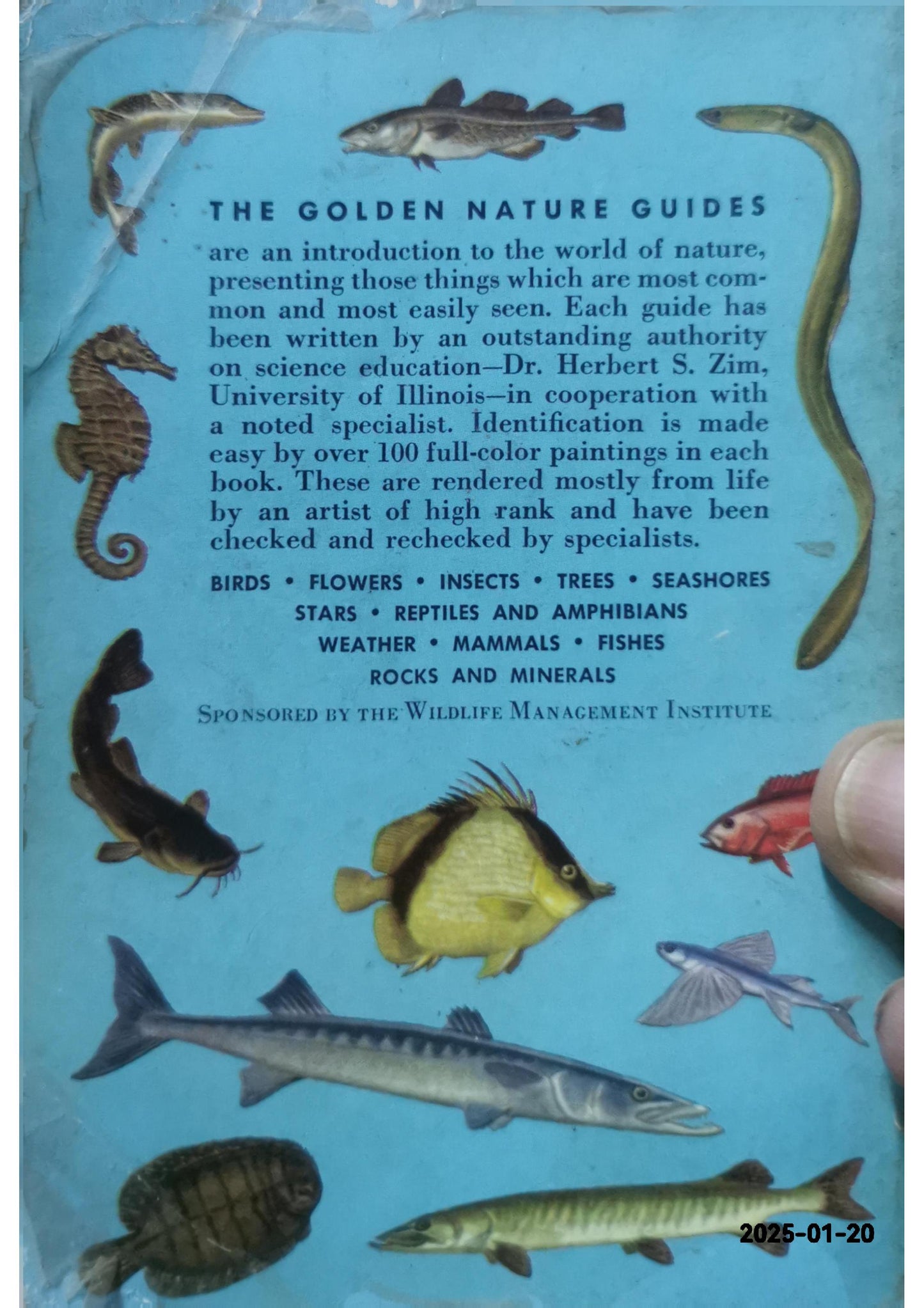 Fishes, a Guide to Familiar American Species.