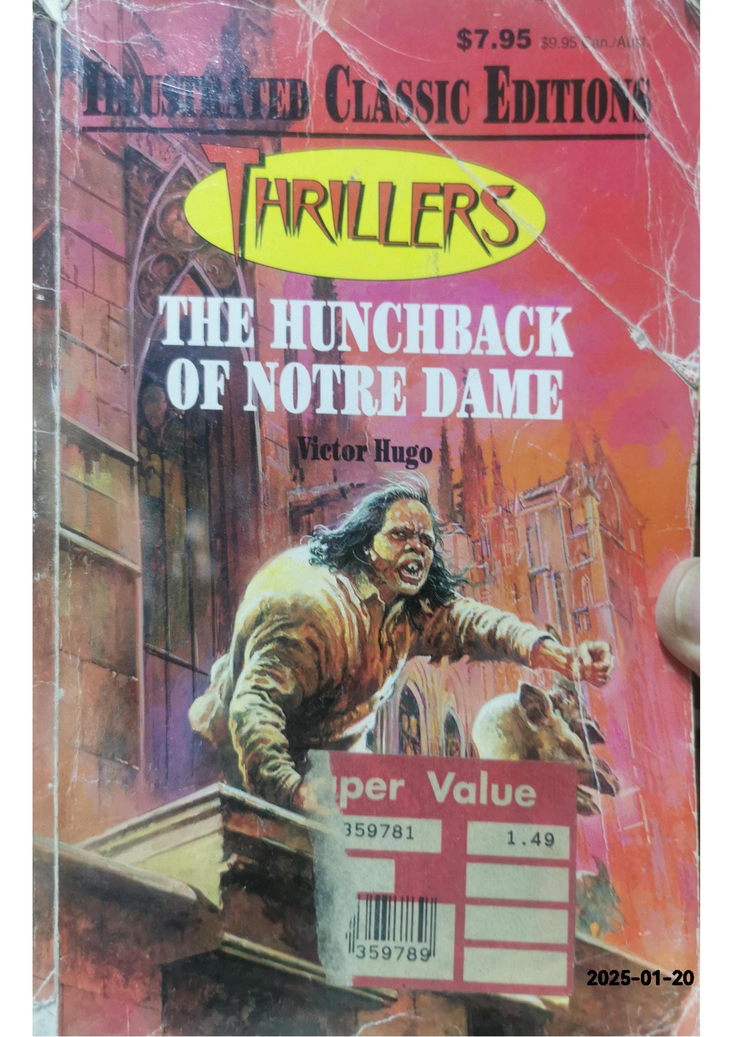 The Hunchback of Notre-Dame Novel by Victor Hugo