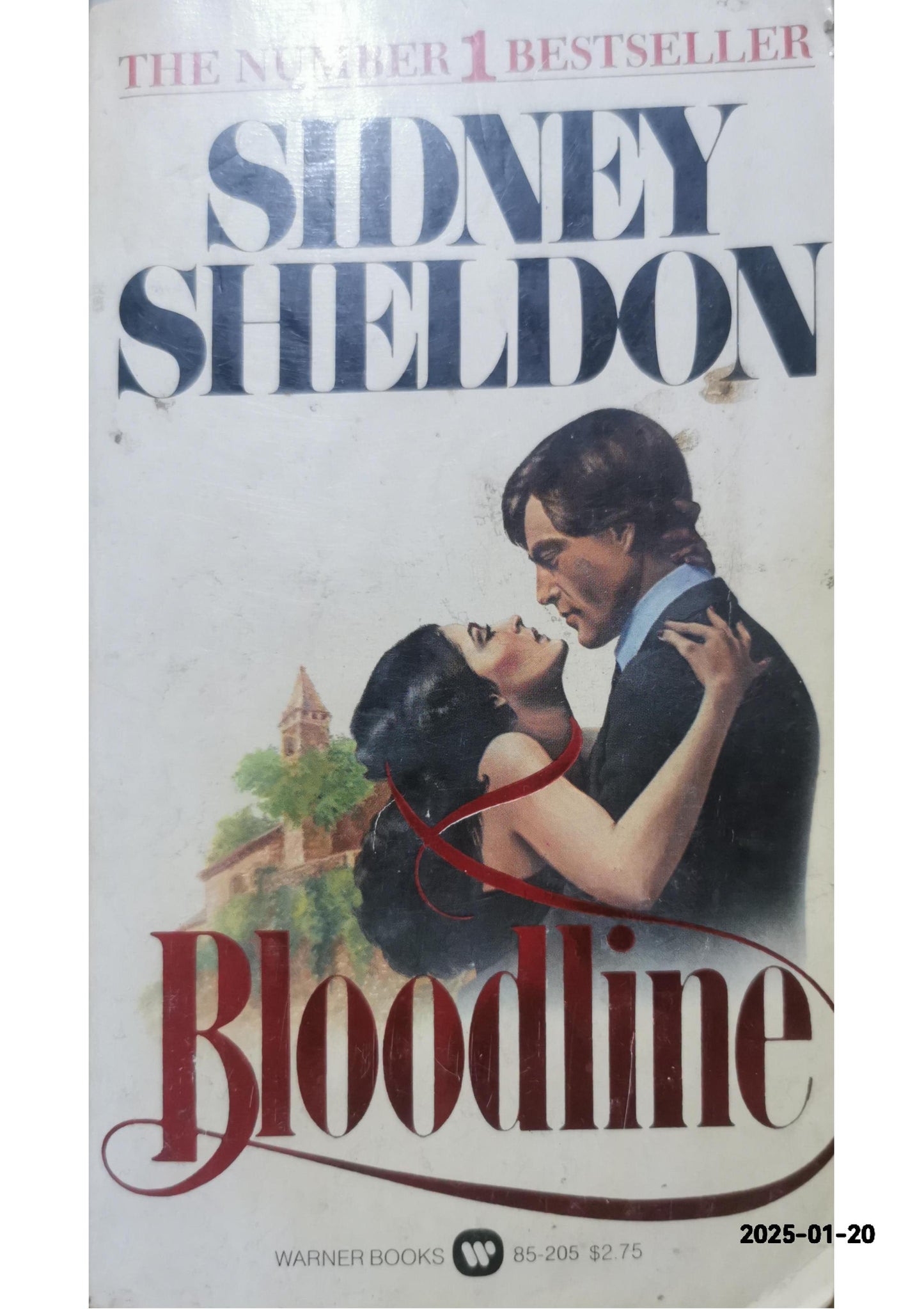 Bloodline Novel by Sidney Sheldon