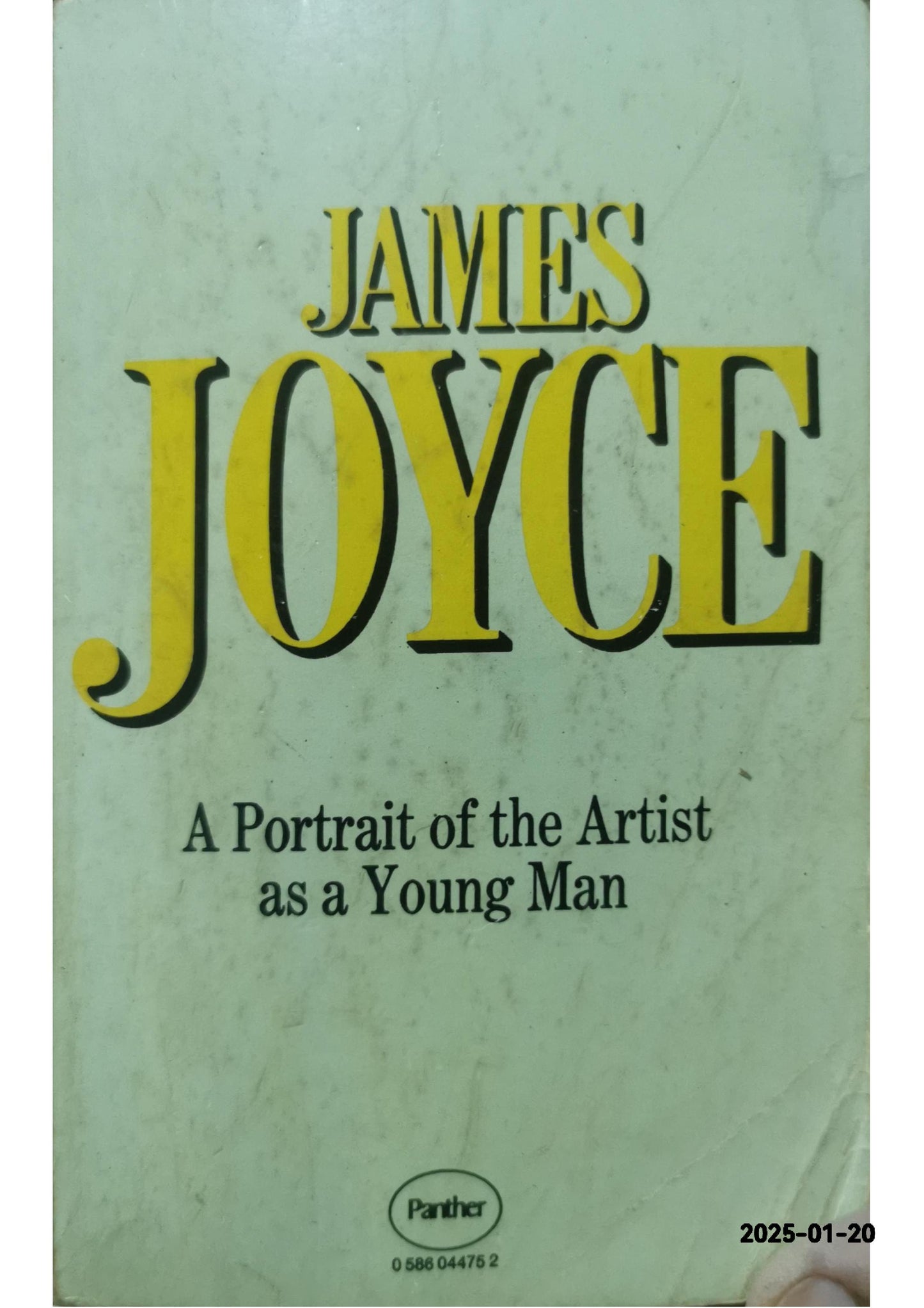 A Portrait of the Artist as a Young Man (Dover Thrift Editions: Classic Novels) Paperback – Unabridged, May 20, 1994 by James Joyce (Author)