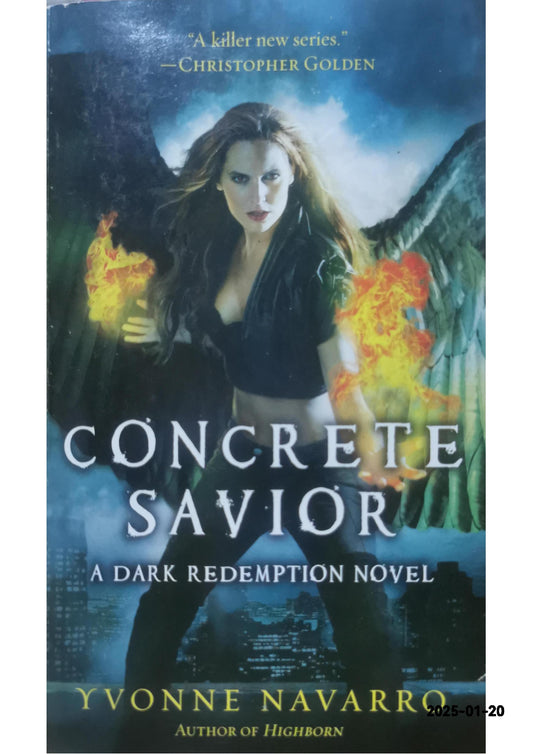 Concrete Savior (Dark Redemption, 2) Paperback – February 23, 2013 by Yvonne Navarro (Author)