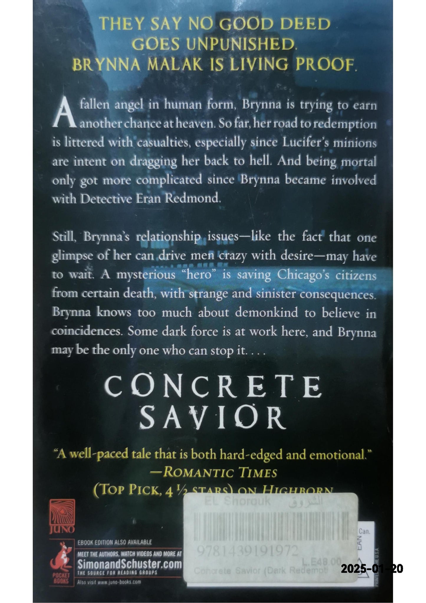 Concrete Savior (Dark Redemption, 2) Paperback – February 23, 2013 by Yvonne Navarro (Author)