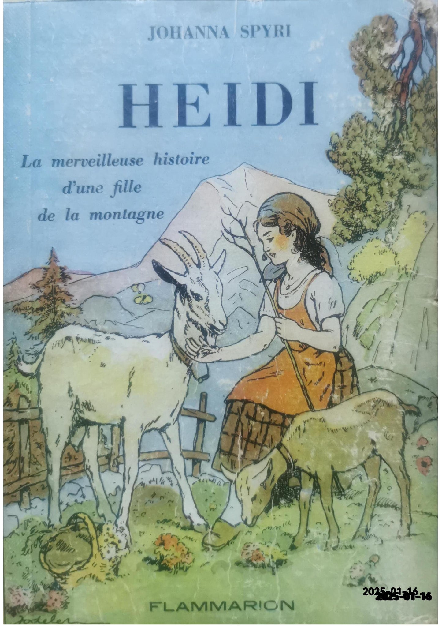 Heidi, la merveilleuse histoire d'une fille de la montagne Hardcover – January 8, 1992 French Edition  by Spyri Johanna (Author)