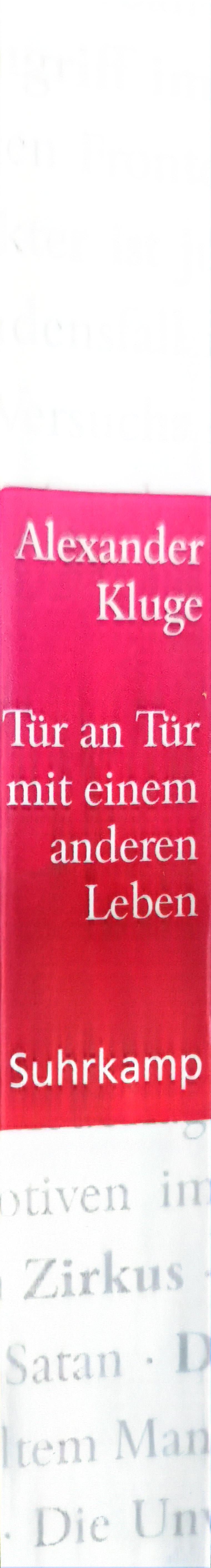 Tür an Tür mit einem anderen Leben: 350 neue Geschichten Hardcover – 18 Sept. 2006 by Alexander Kluge (Autor)