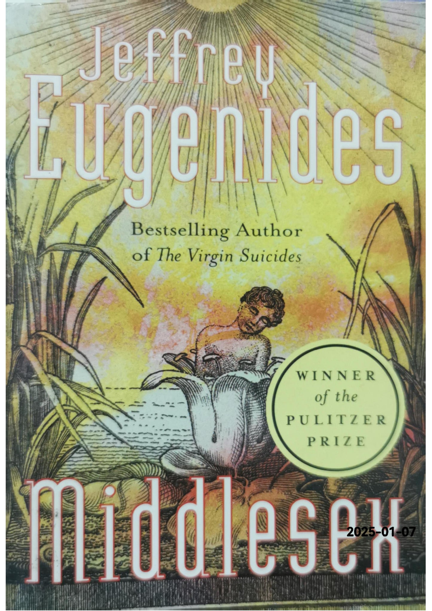 Middlesex: A Novel Paperback – September 16, 2002 by Jeffrey Eugenides (Author)