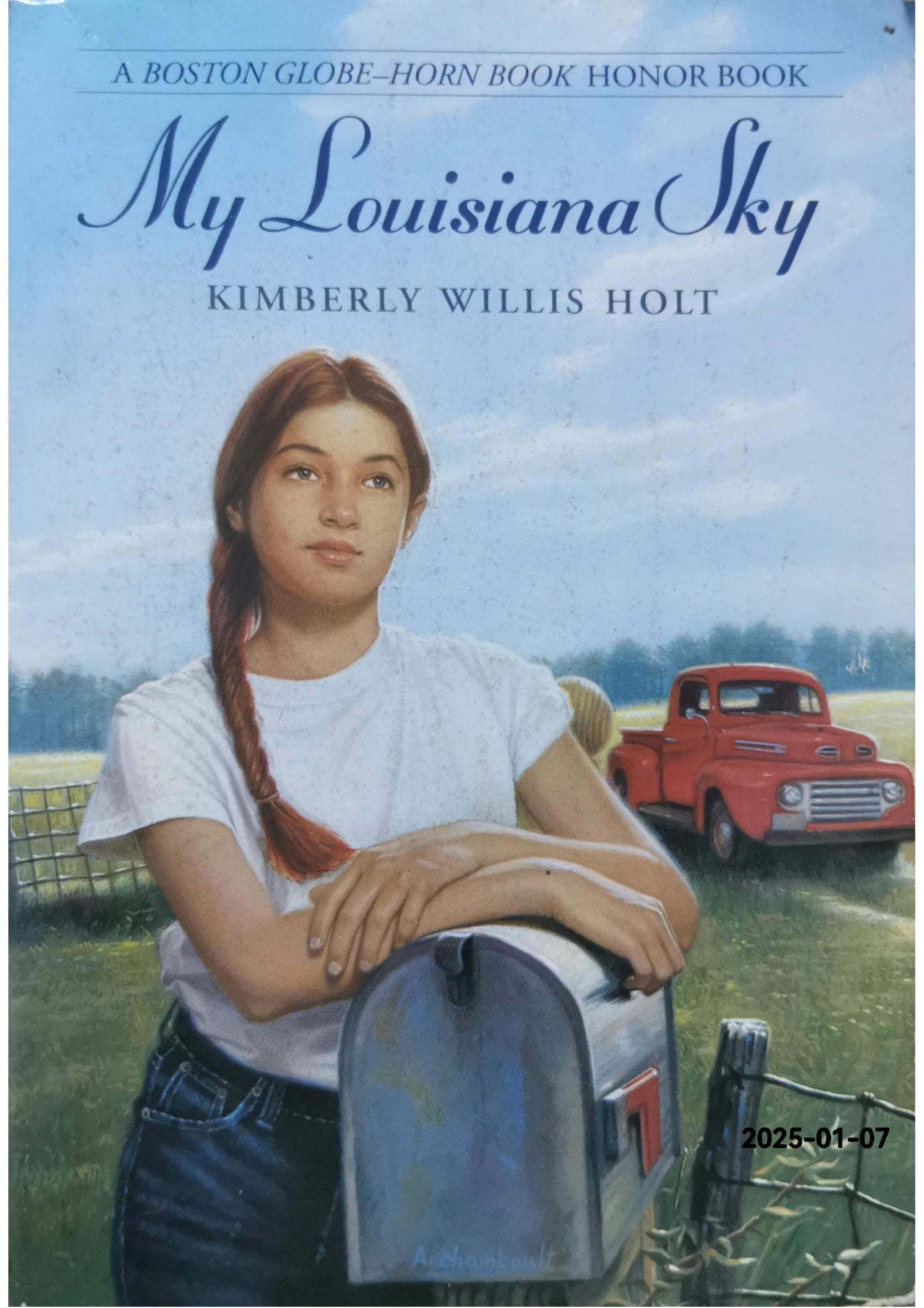 My Louisiana Sky Paperback – February 15, 2011 by Kimberly Willis Holt (Author)