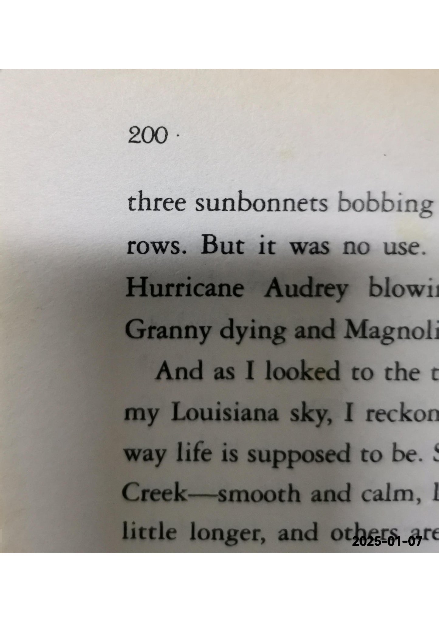 My Louisiana Sky Paperback – February 15, 2011 by Kimberly Willis Holt (Author)