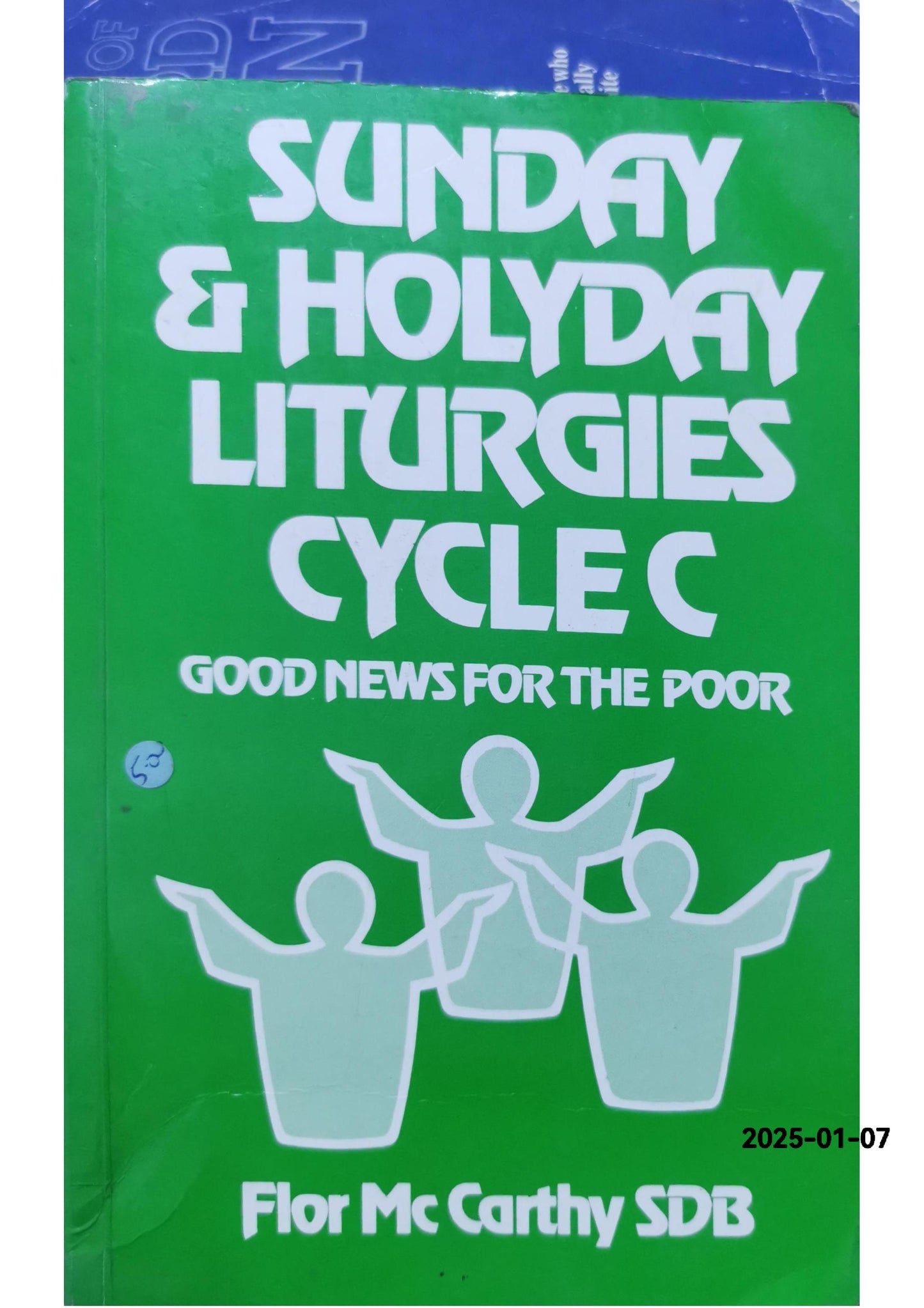 Sunday and Holyday Liturgies, Cycle B: Good News for the Poor Paperback – January 1, 1984 by Flor McCarthy (Author)