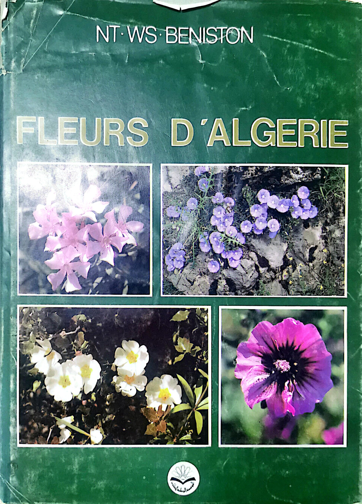 FLEURS D'ALGERIE. Broché – 1 janvier 1984 de BENISTON NT.WS. (Auteur)