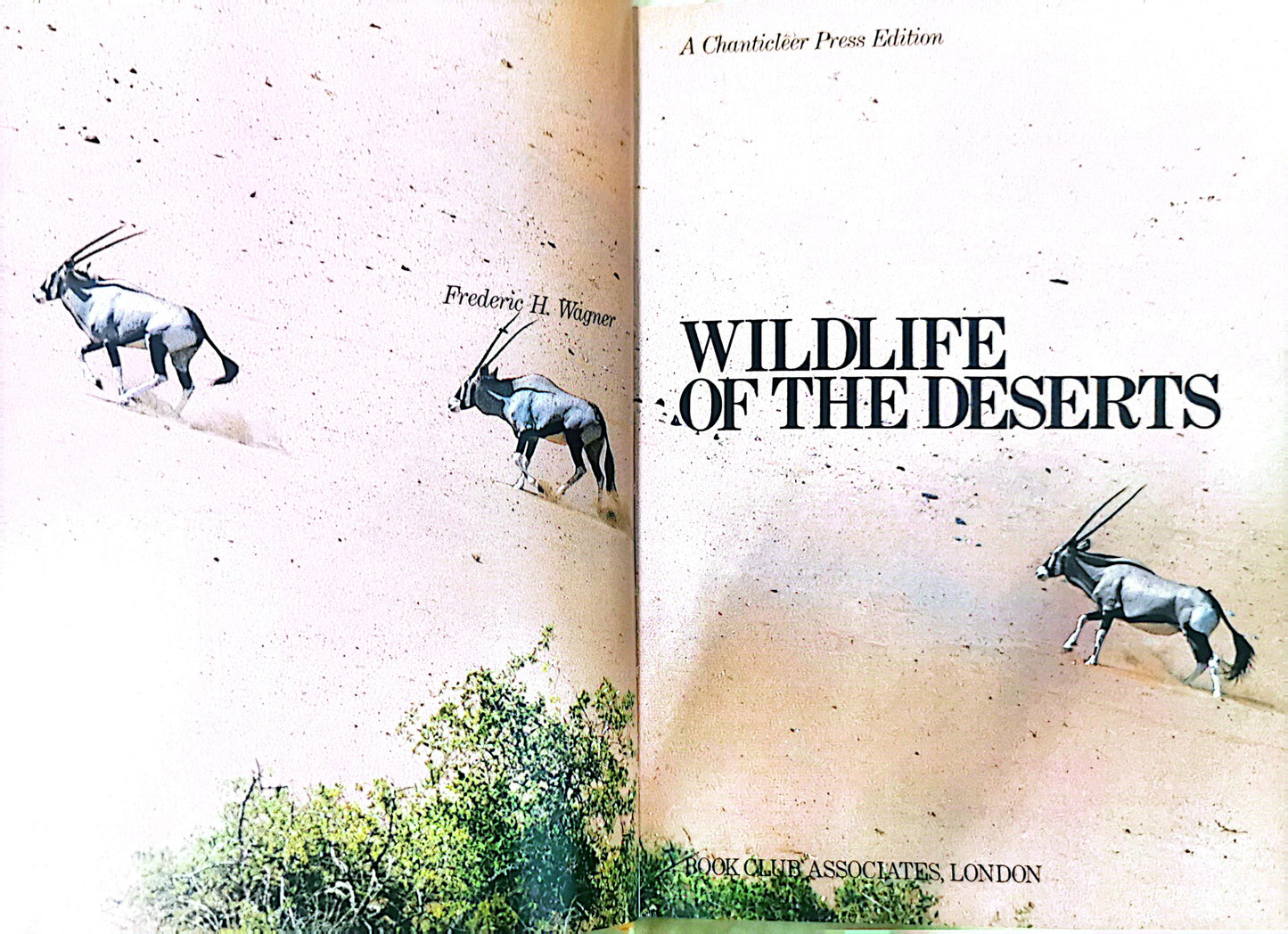 Wildlife of the Deserts Hardcover – September 1, 1980 English Edition  by Frederic H. Wagner (著)