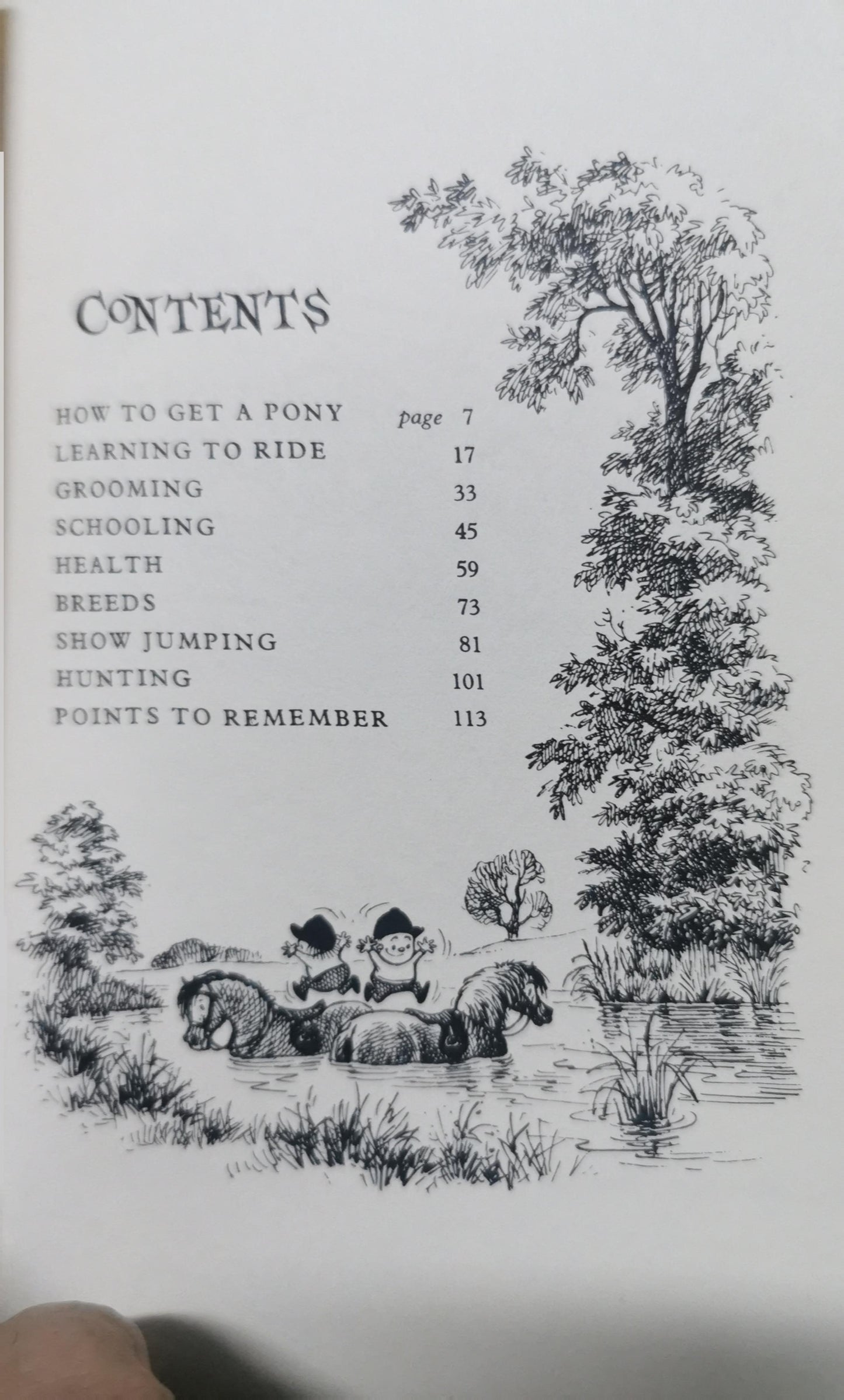 A Leg at Each Corner, A: Thelwell's Complete Guide to Equitation Thelwell, Norman