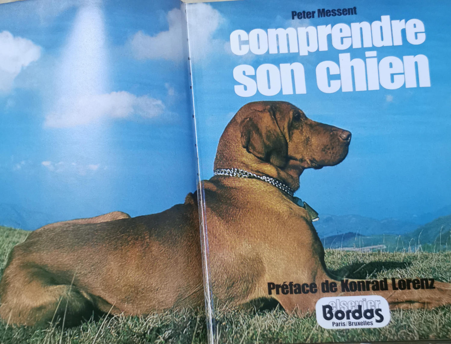 comprendre son chien Hardcover – January 1, 1979 French Edition  by Peter Messent (Author), Konrad Lorenz (Preface)