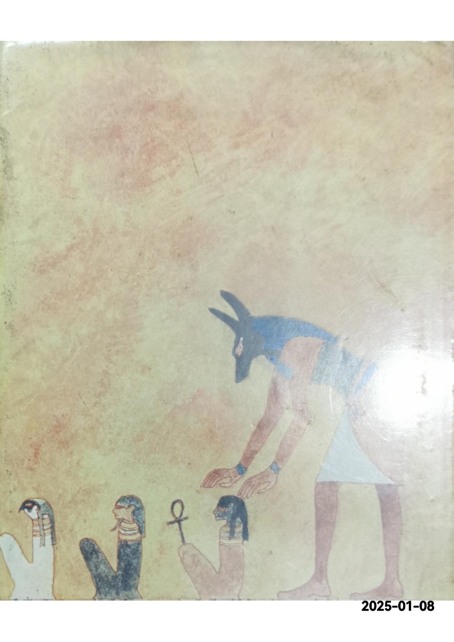 Sinuhe the Egyptian: A novel Hardcover – June 28, 1973 by Mika Waltari (Author)