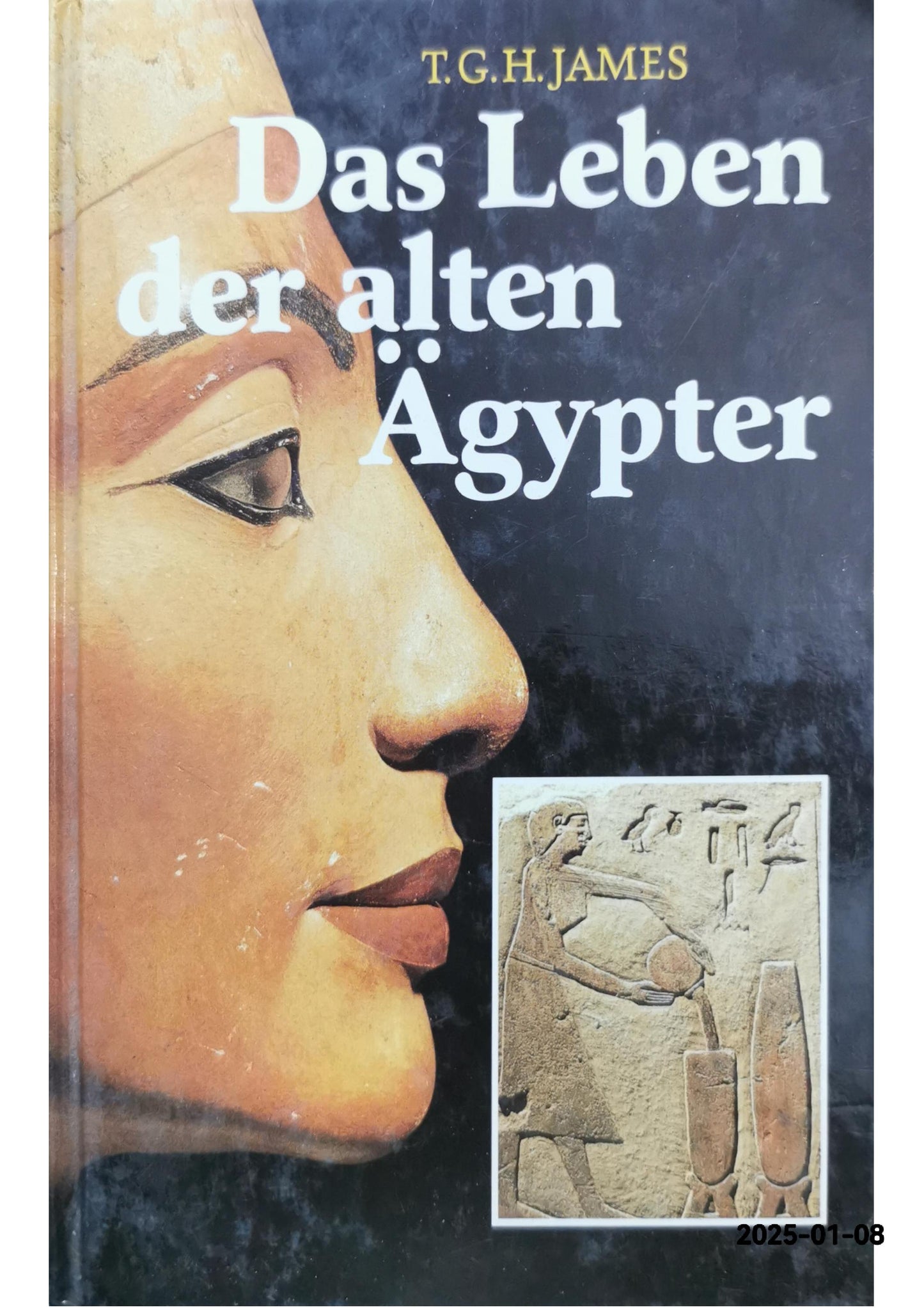 Das Leben der alten Ägypter Weltbild Verlag 1994 T. G. H. James