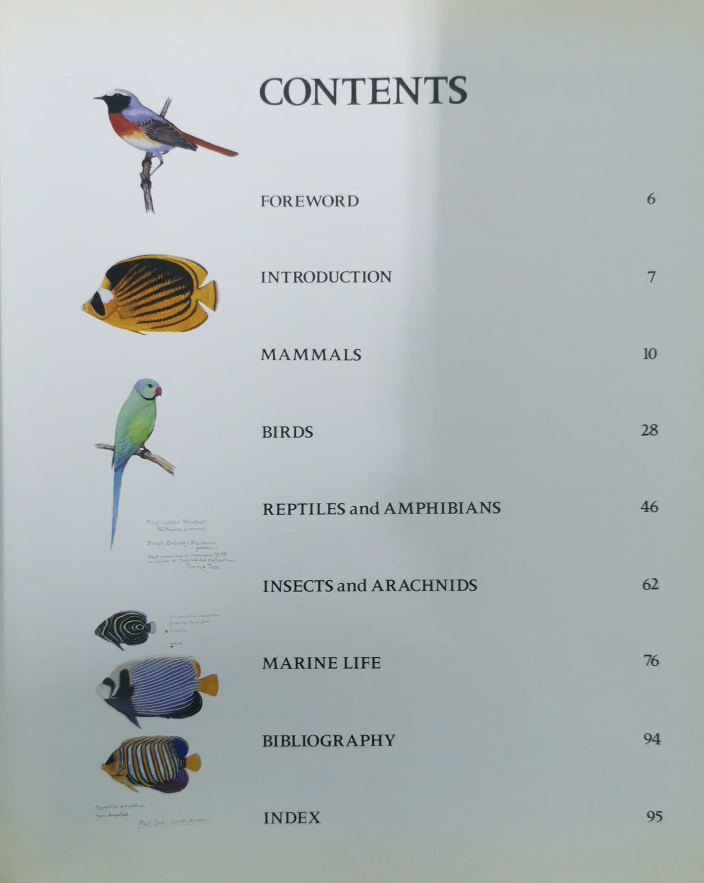 The Wildlife of Saudi Arabia and Its Neighbours Hardcover – Import, August 23, 1990 by John Gasperetti (Author), Patricia Gasperetti (Author), A.S. Talhouk (Author)