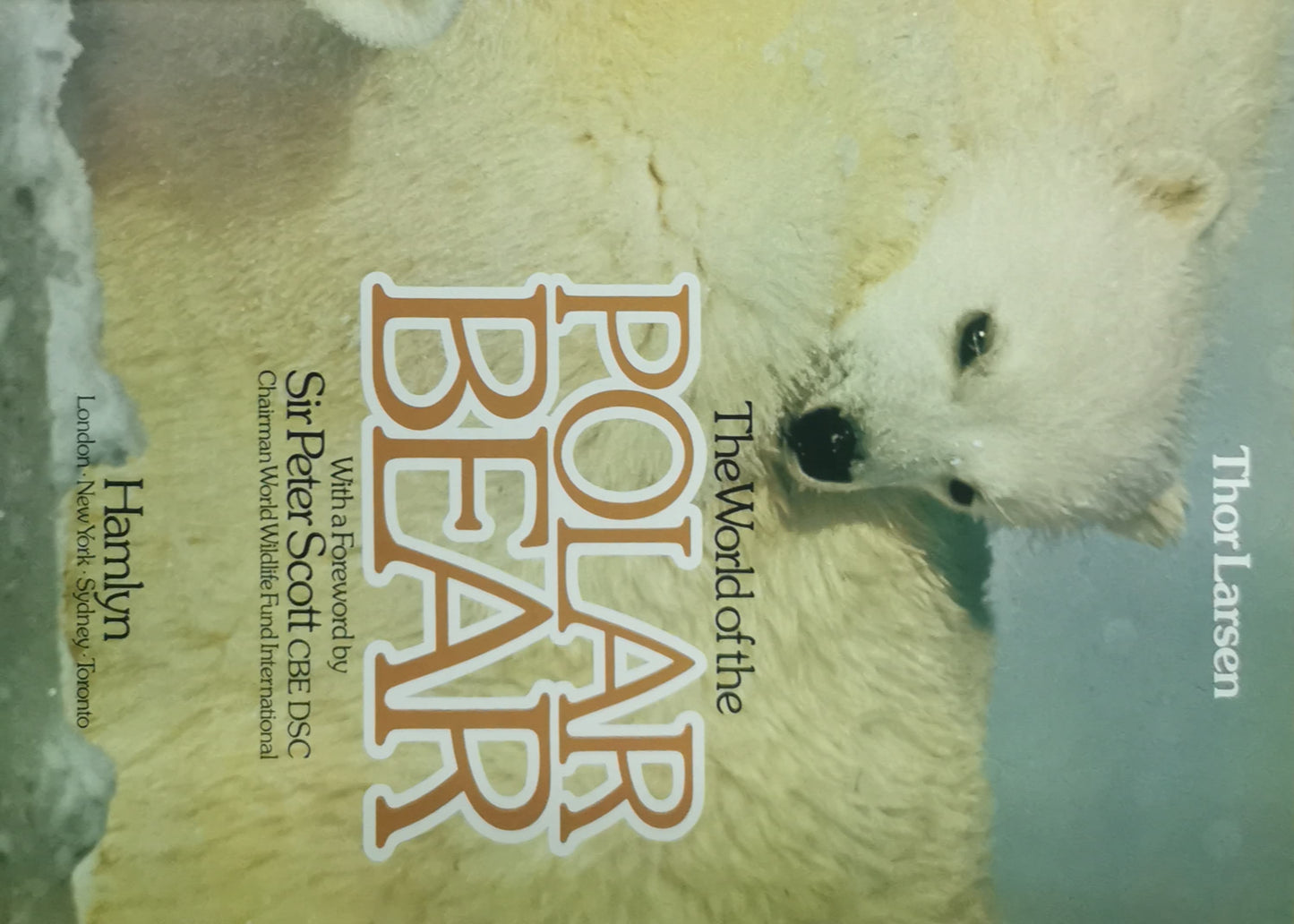 World of the Polar Bear - Hardcover