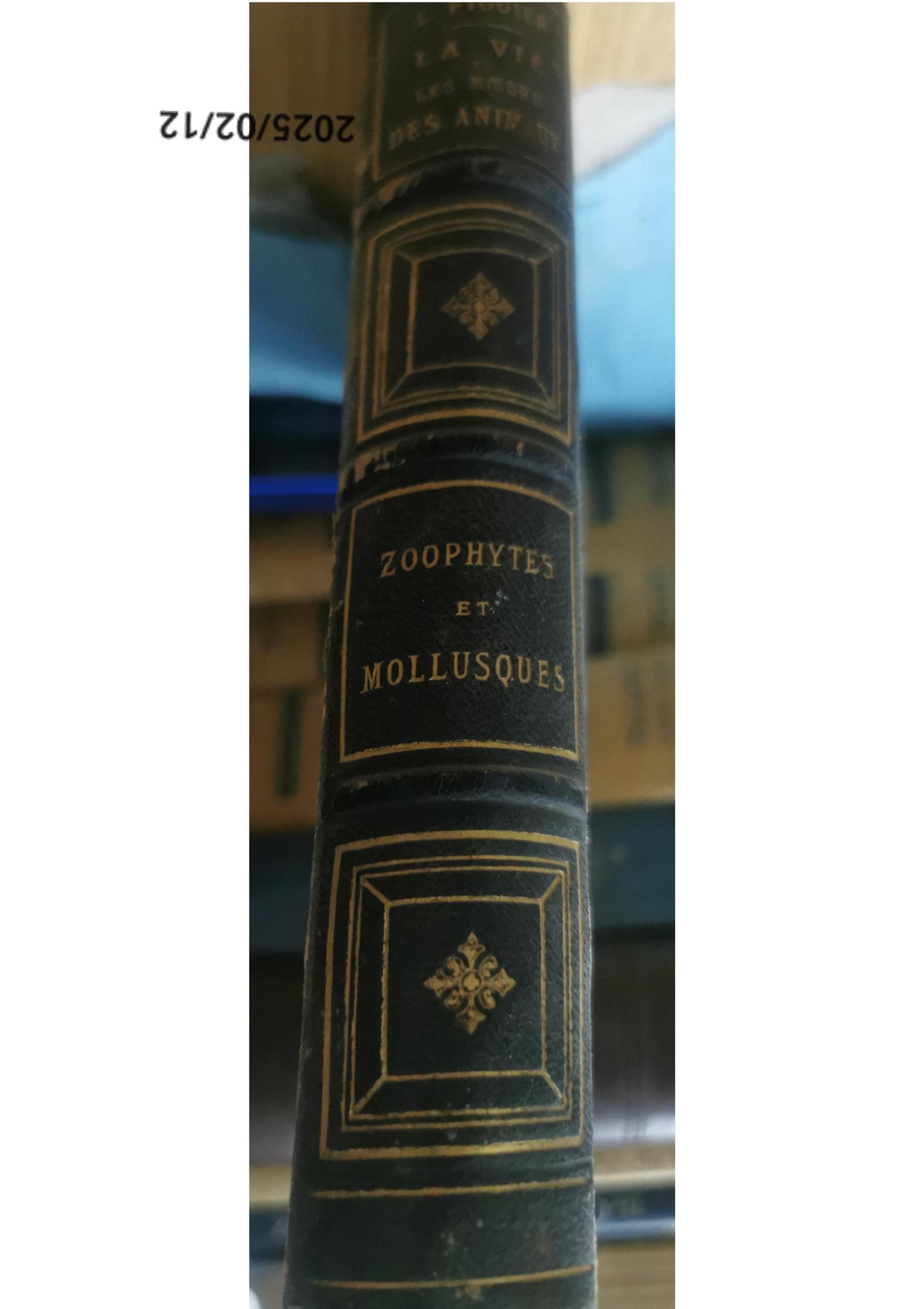 LIVRE ANCIEN 1866 "LA VIE ET LES MOEURS DES ANIMAUX de Louis Figuier