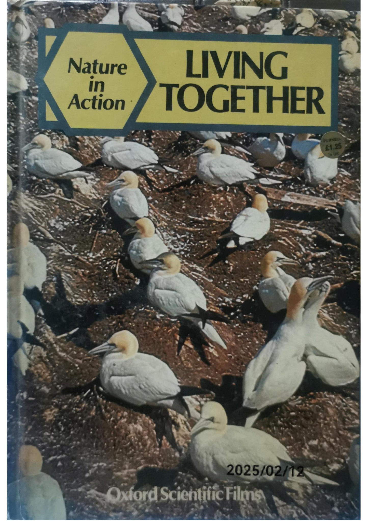 Living Together (Nature in Action S.) Tapa dura – 19 abril 1979 Edición en Inglés  de Jill Bailey (Autor)