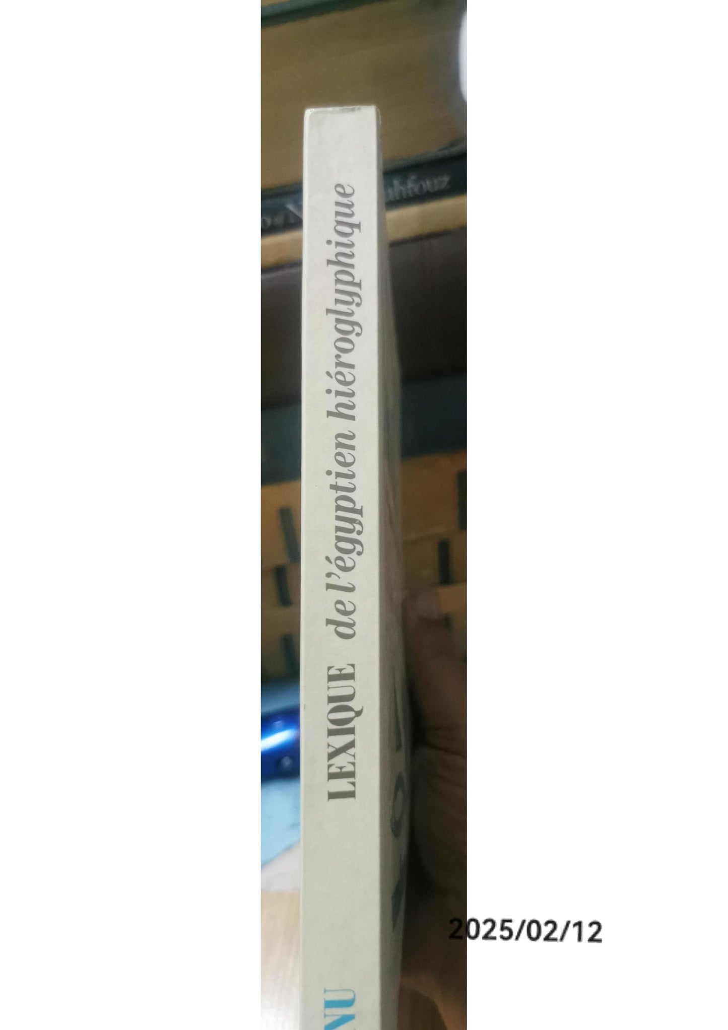 Petit lexique de l'égyptien hiéroglyphique à l'usage des débutants Paperback French Edition  by Bernadette Menu (Author)