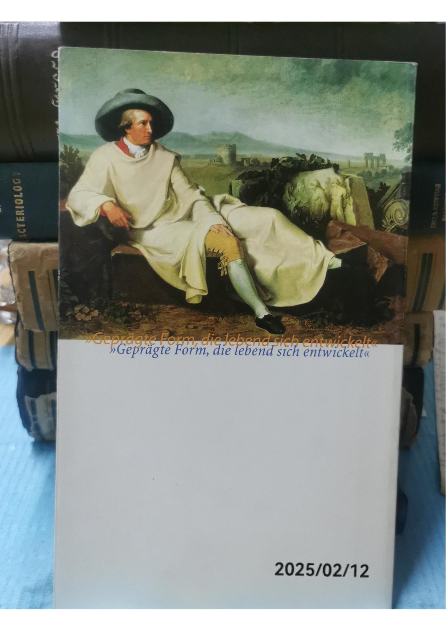 Johann Wolfgang von Goethe. Dichter, Naturforscher, Staatsmann 1749-1832 Perfect Paperback – 1 Jan. 1999 by Klaus Seehafer (Autor)