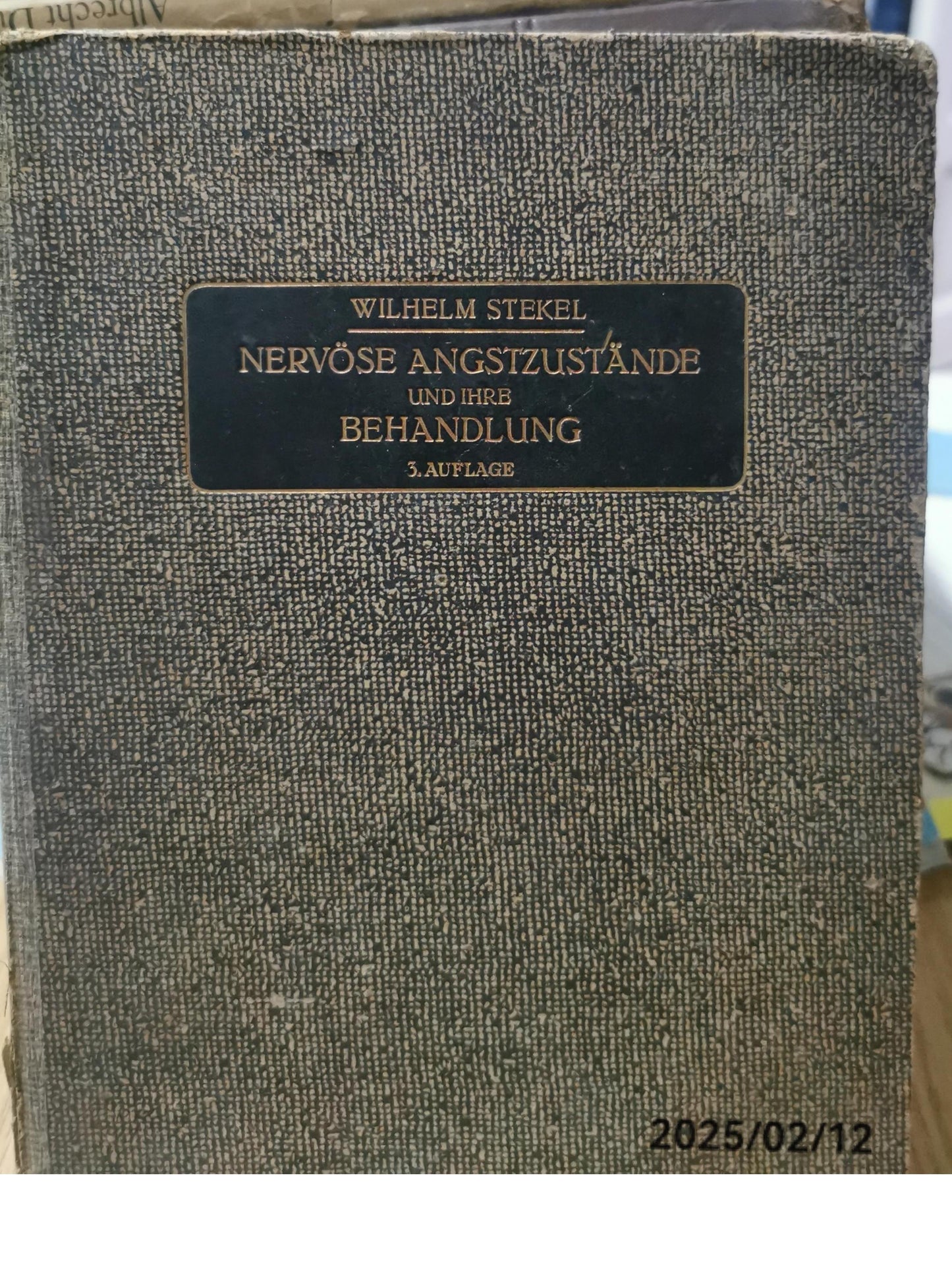 Nervöse Angstzustände Und Ihre Behandlung Hardcover – 27 Oct. 2022 by Wilhelm Stekel (Autor)