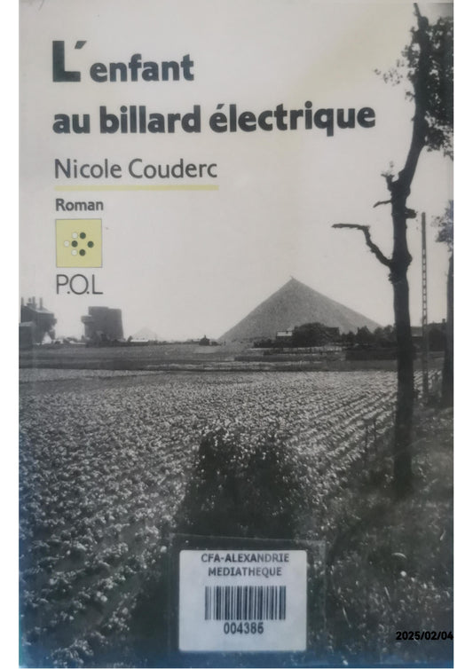 L'Enfant au billard électrique