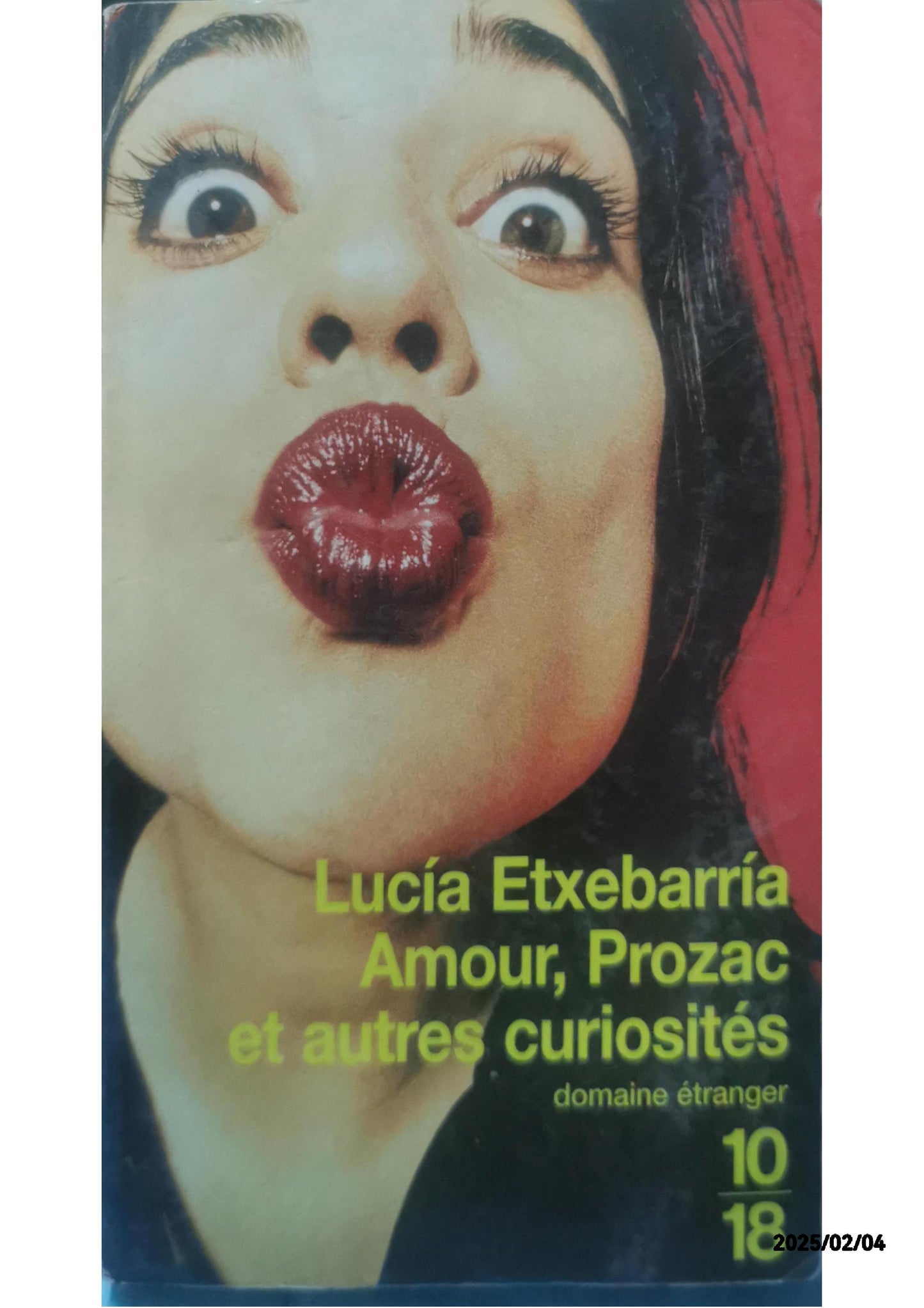 Amour, Prozac, et autres curiosités Poche – 30 novembre 2000 de Lucia Etxebarria (Auteur), Marianne Million (Traduction)