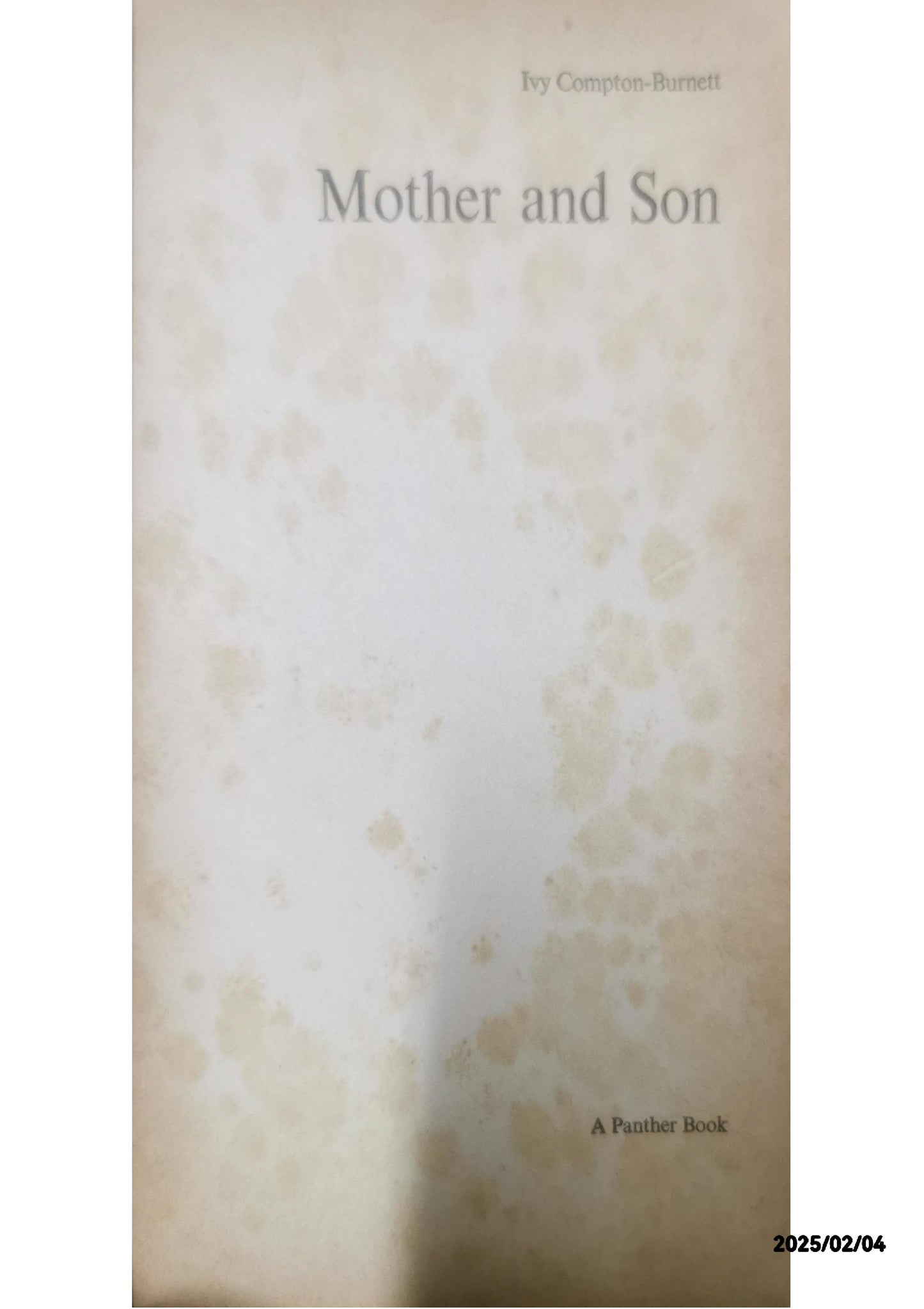 Mother and Son  Ivy Compton-Burnett