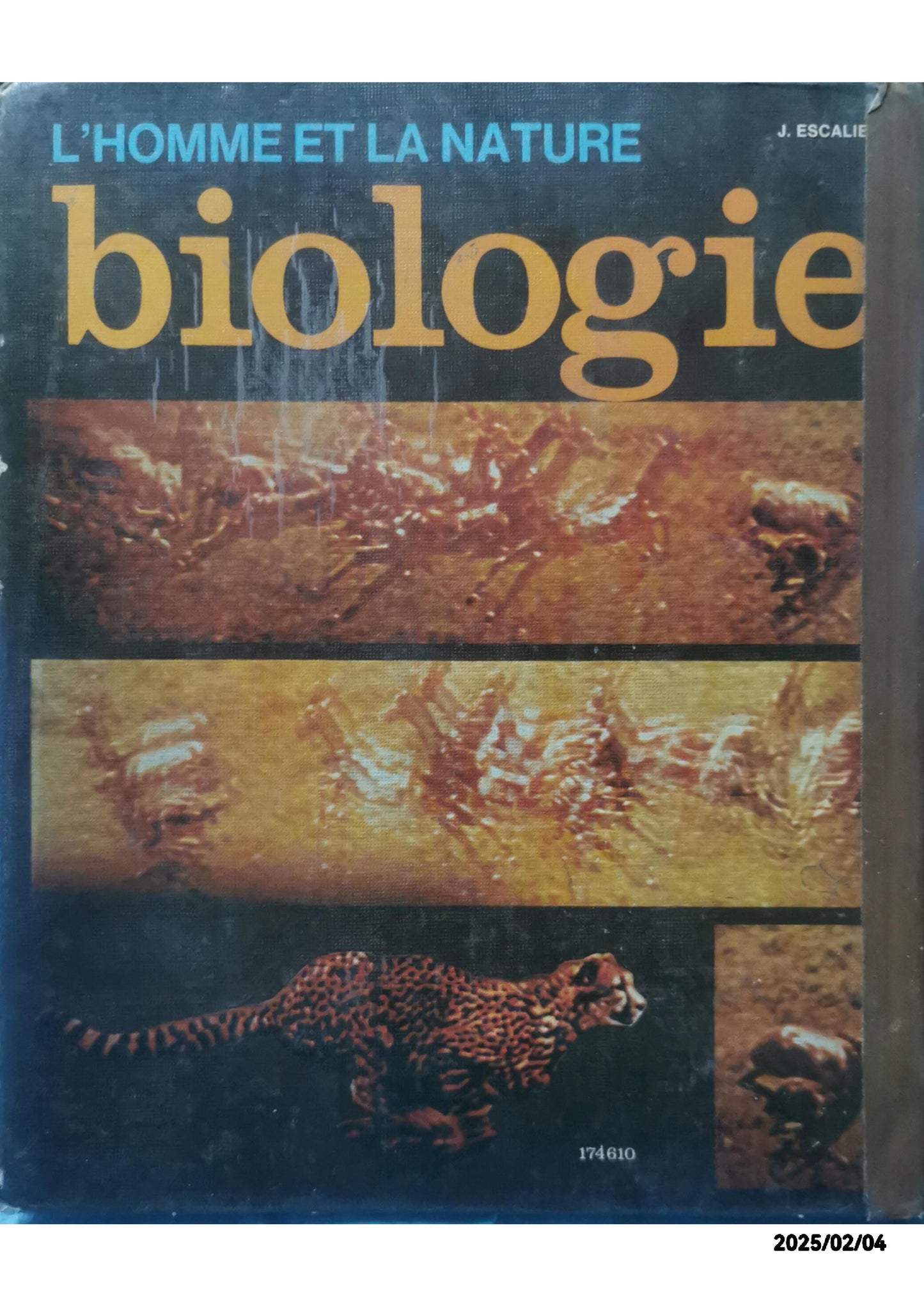 L'homme et la nature biologie - sciences naturelles 6° Cartonné – 1 janvier 1977 Édition en Inconnu