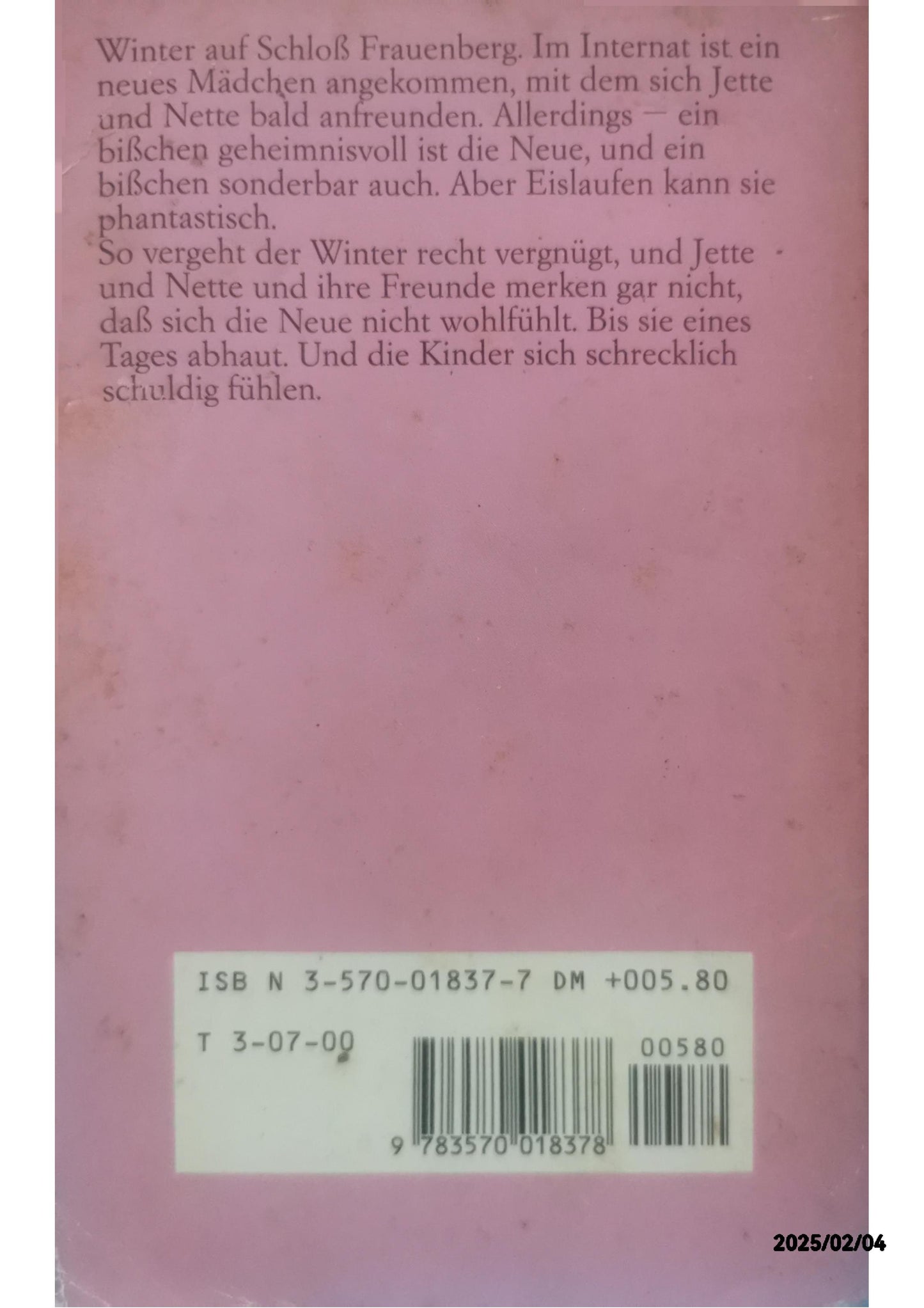 Jette und Nette. Figuren im Eis (Bd. 4) Perfect Paperback by Brigitte Blobel (Autor)