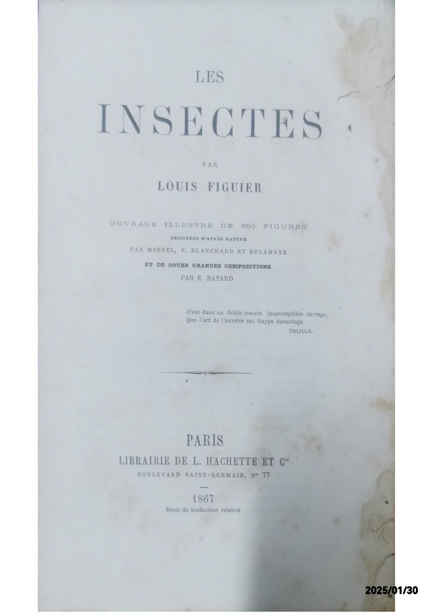 Antique Book - Les Insectes By Louis Figuier Published By Hachette, Paris 1867