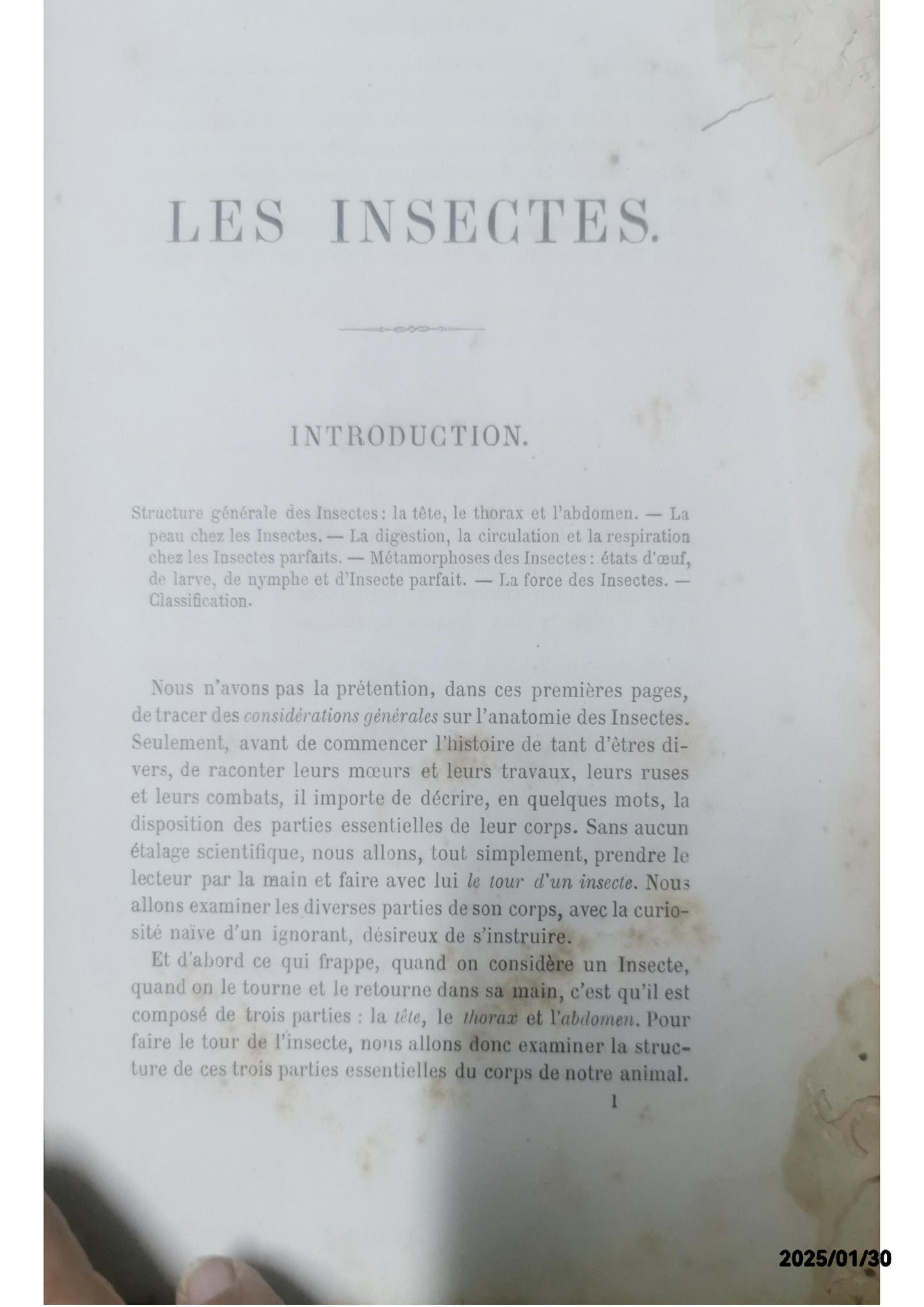 Antique Book - Les Insectes By Louis Figuier Published By Hachette, Paris 1867