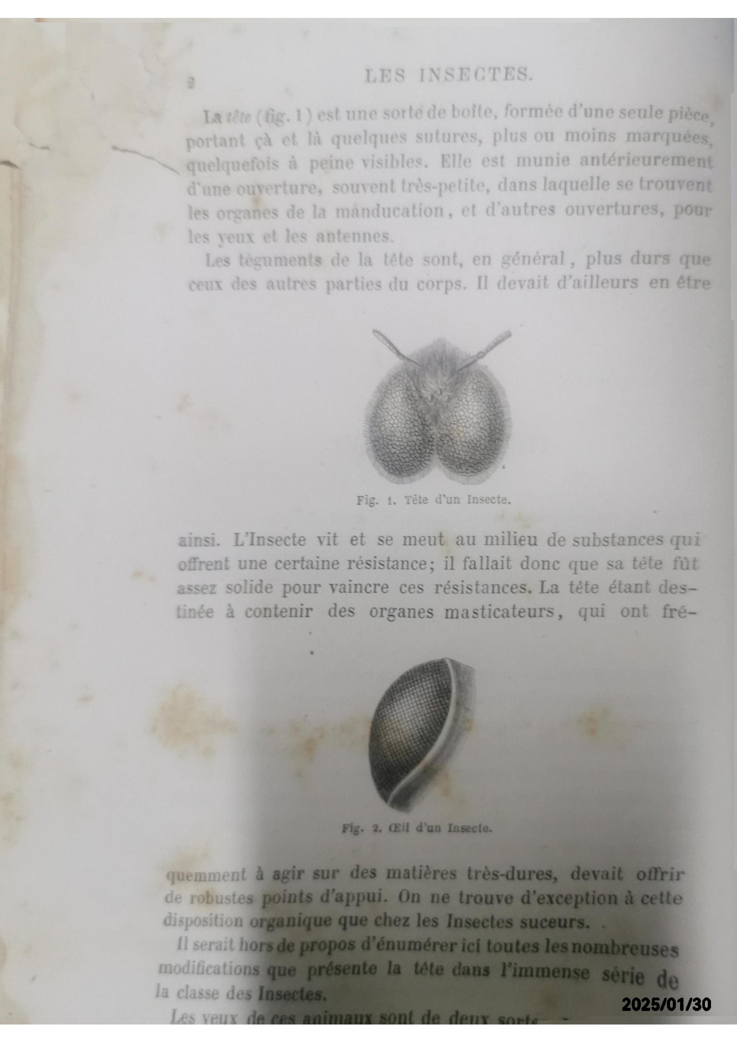 Antique Book - Les Insectes By Louis Figuier Published By Hachette, Paris 1867