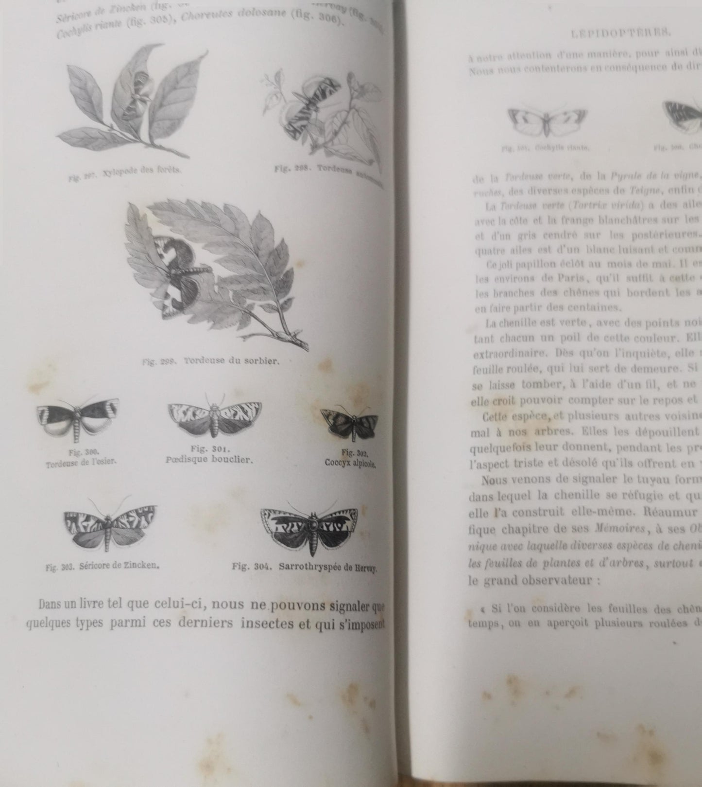 Antique Book - Les Insectes By Louis Figuier Published By Hachette, Paris 1867