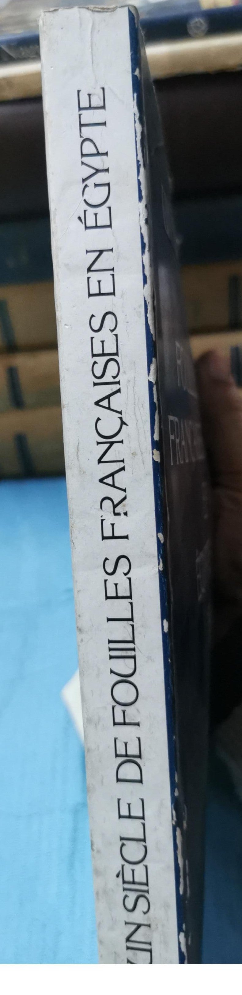 Un siècle de fouilles françaises en Egypte 1880-1980 Broché – 1 janvier 1981 Édition en Allemand