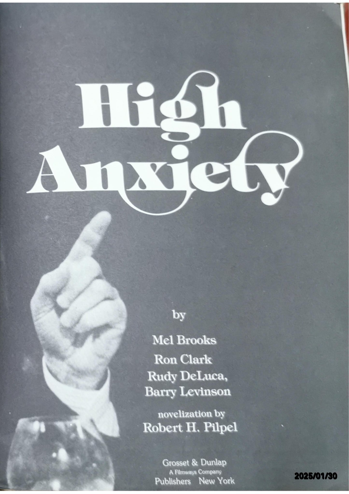 High anxiety Hardcover – January 1, 1978 by Robert H Pilpel (Author), Mel Brooks (Author), Barry Levinson (Author)