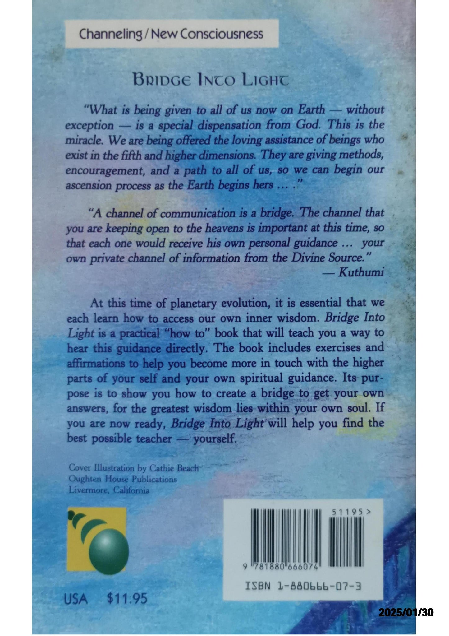 Bridge Into Light : Your Connection to Spiritual Guidance by Pam Cameron (1994-03-04) Mass Market Paperback by Pam Cameron (Author)