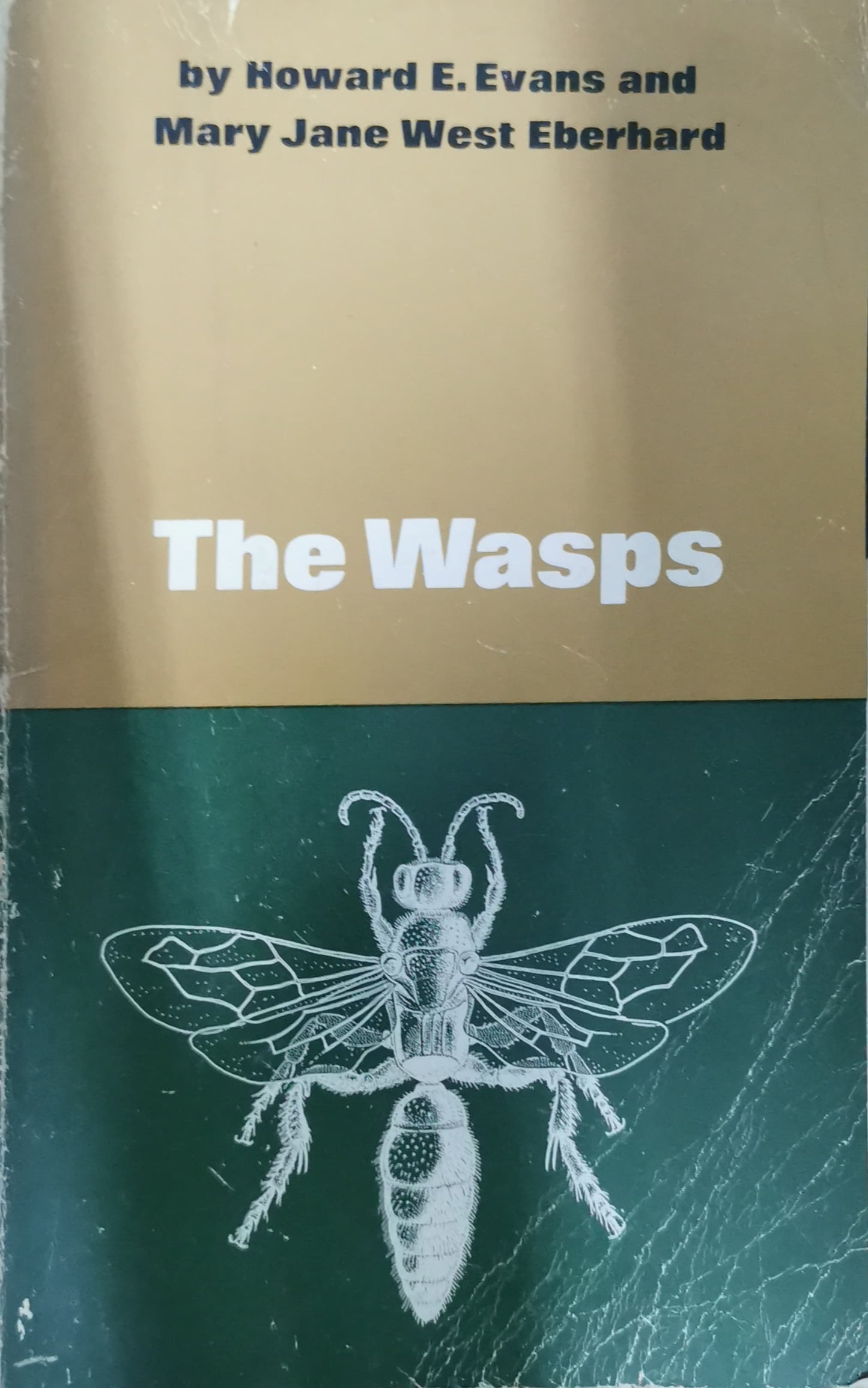 The Wasps Paperback – January 1, 1971 by Howard Ensign Evans (Author), M. J. West Eberhard (Author)