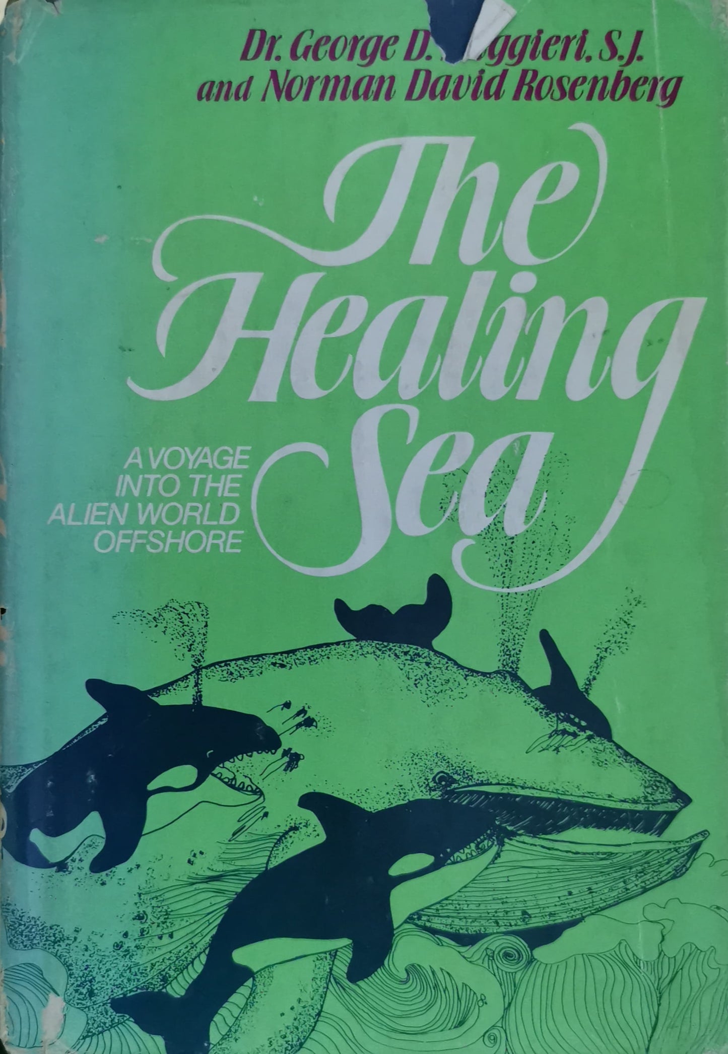 The healing sea: A voyage into the alien world offshore Hardcover – January 1, 1978 by Norman David Ruggieri, Dr. George D. And Rosenberg (Author)