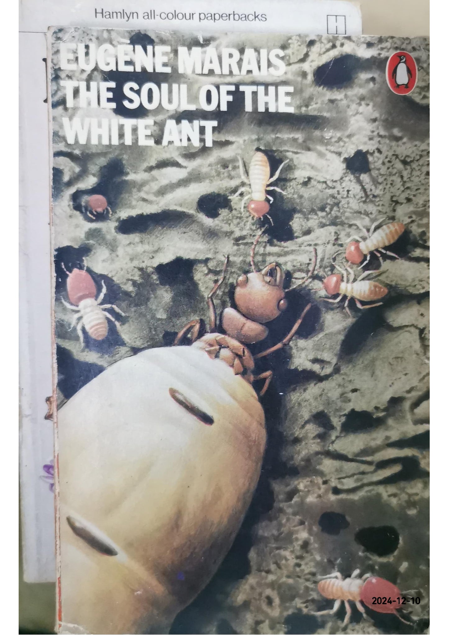 The Soul of the White Ant Paperback – by Eugene Marais (Author)