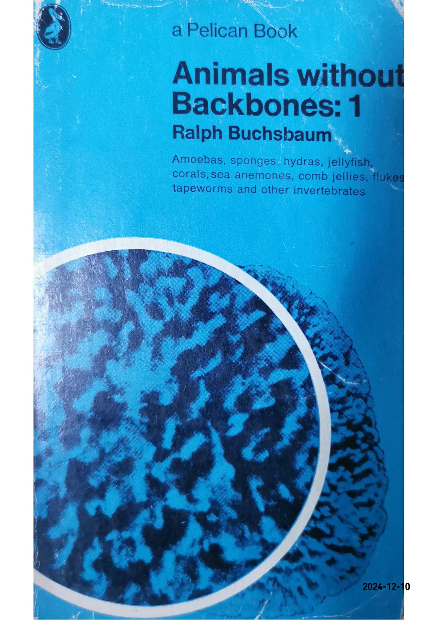 ANIMALS WITHOUT BACKBONES 1. Paperback – January 1, 1968 by Ralph Buchsbaum (Author)