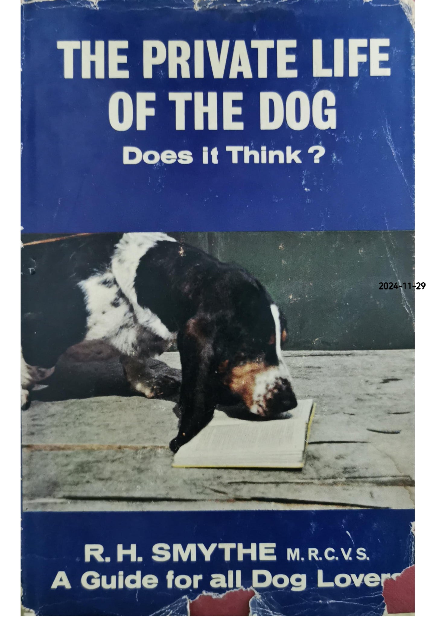 The Private Life of the Dog: Does it Think? Hardcover – January 1, 1965 by R. H. Smythe (Author)