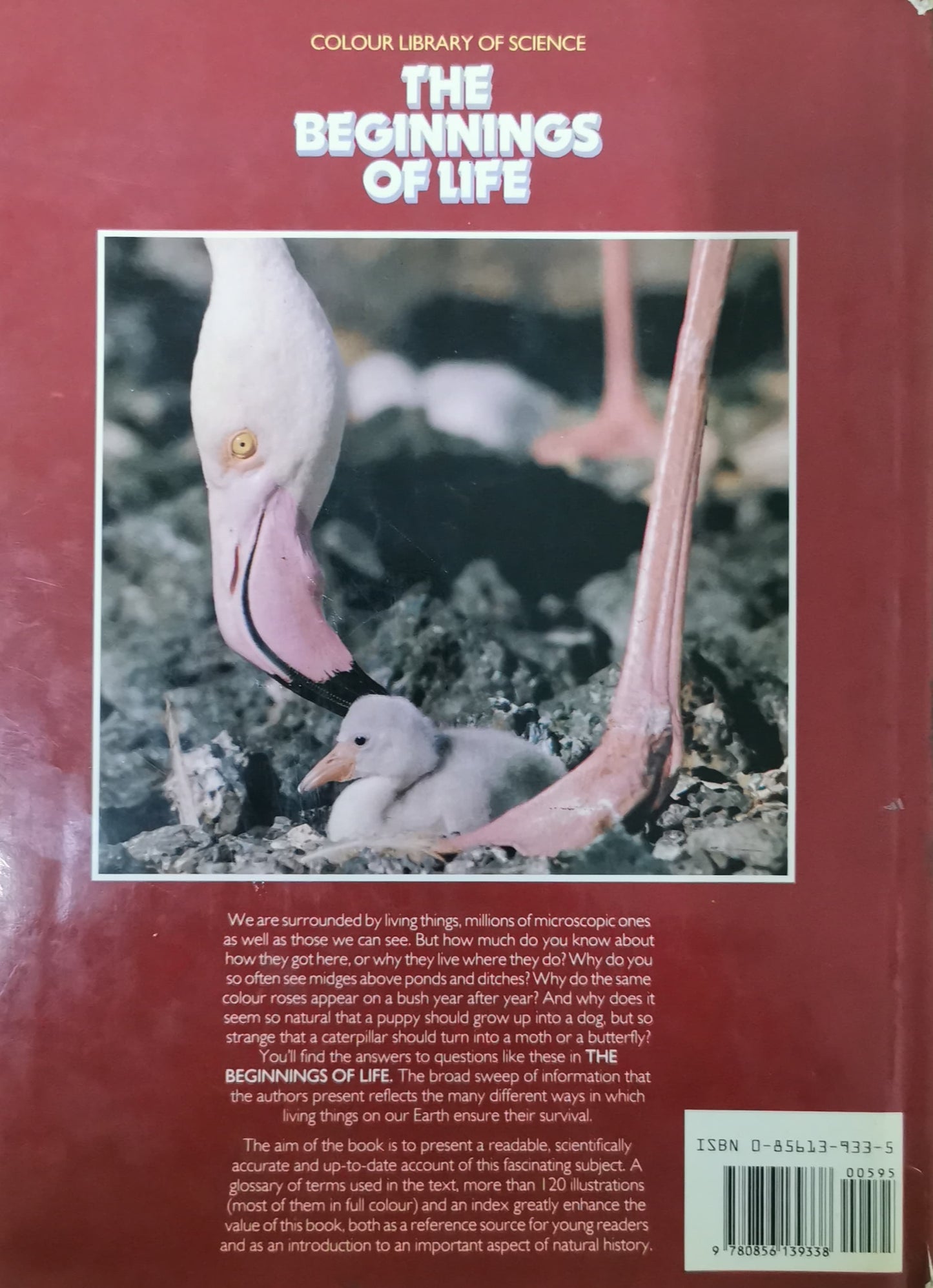 The Beginnings of Life (World of Science) Hardcover – January 1, 1986 by Robert Burton (Author), Maurice Burton (Author)