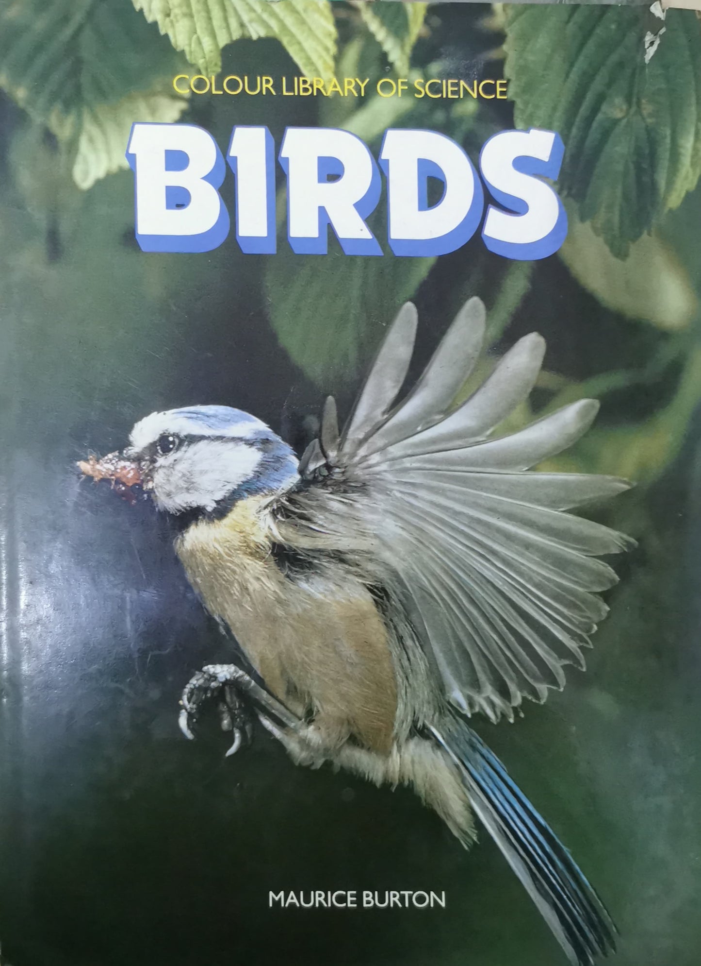 Birds (Colour Library of Science) Paperback – Import, September 23, 1985 by Maurice Burton (Author)