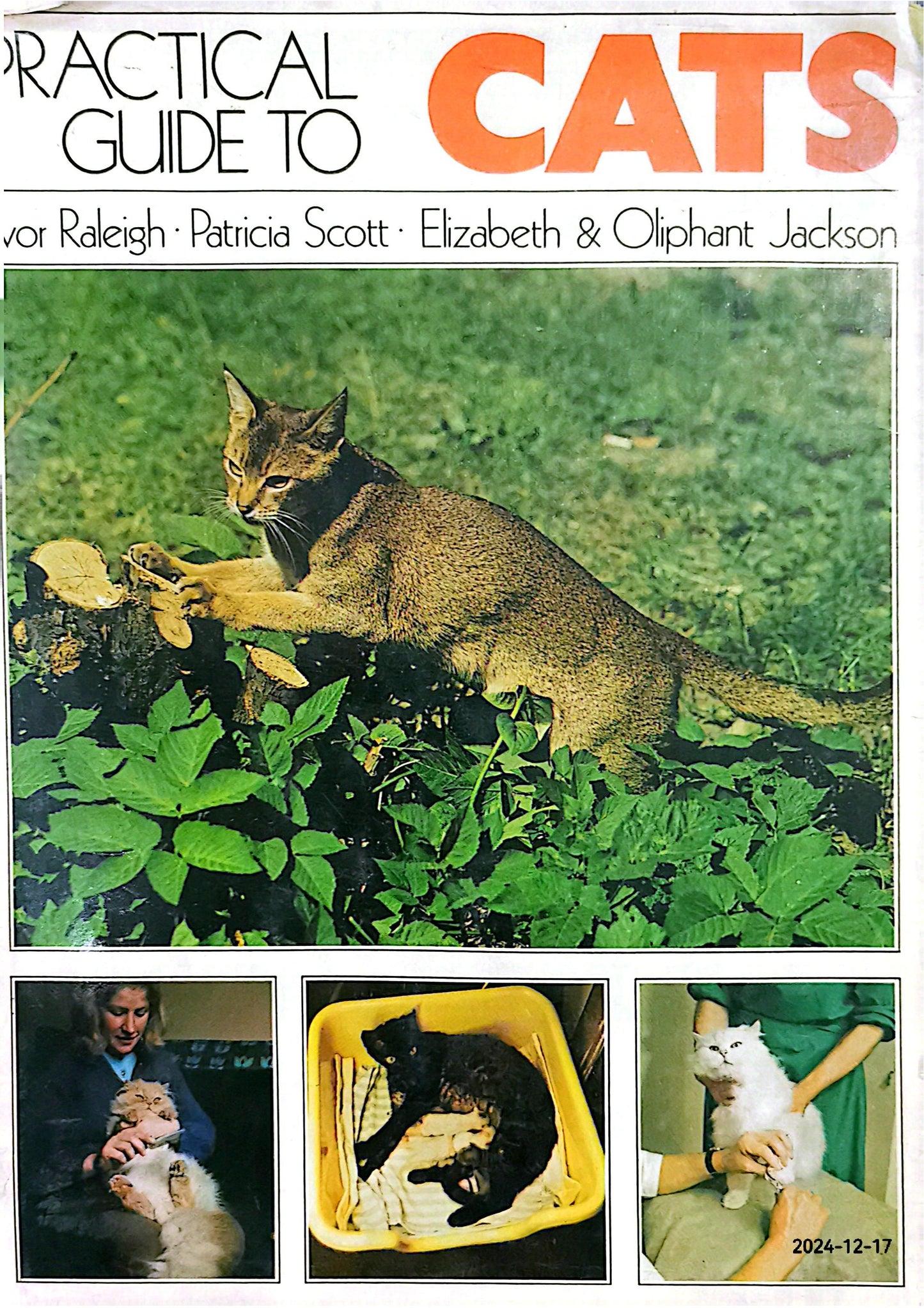 Practical Guide to Cats Hardcover – January 1, 1976 by Ivor Raleigh (Author), Patricia Scott (Author), Elizabeth Jackson (Author), Oliphant Jackson (Author)