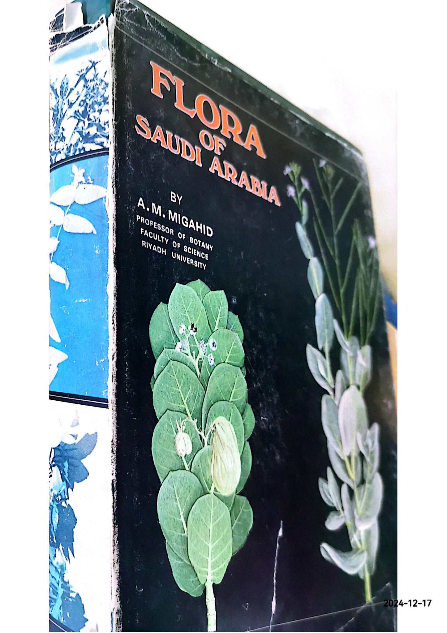 Migahid and Hammouda's Flora of Saudi Arabia Hardcover – January 1, 1978 by Ahmed Mohammed Migahid (Author)